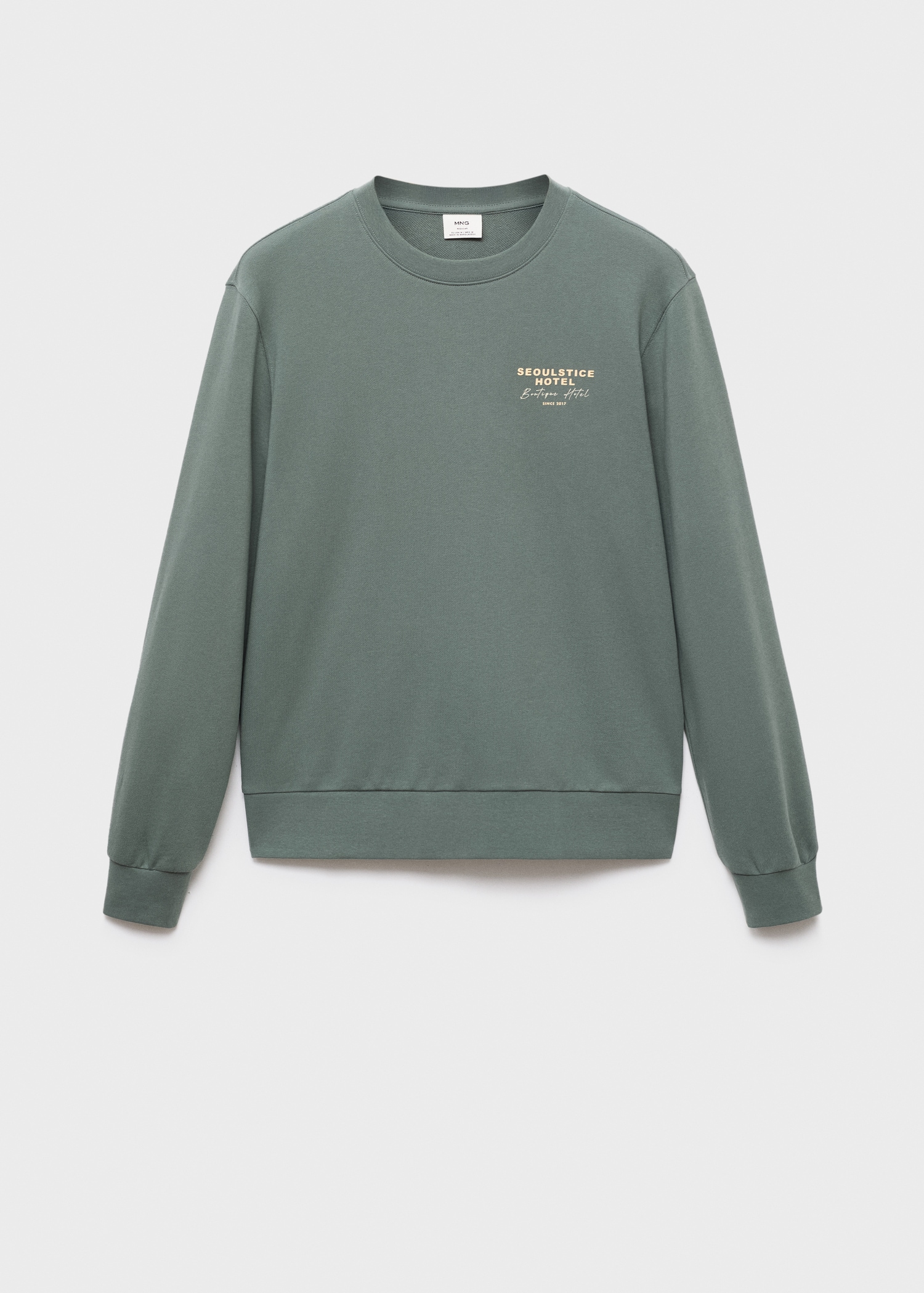 Printed cotton sweatshirt - Article without model