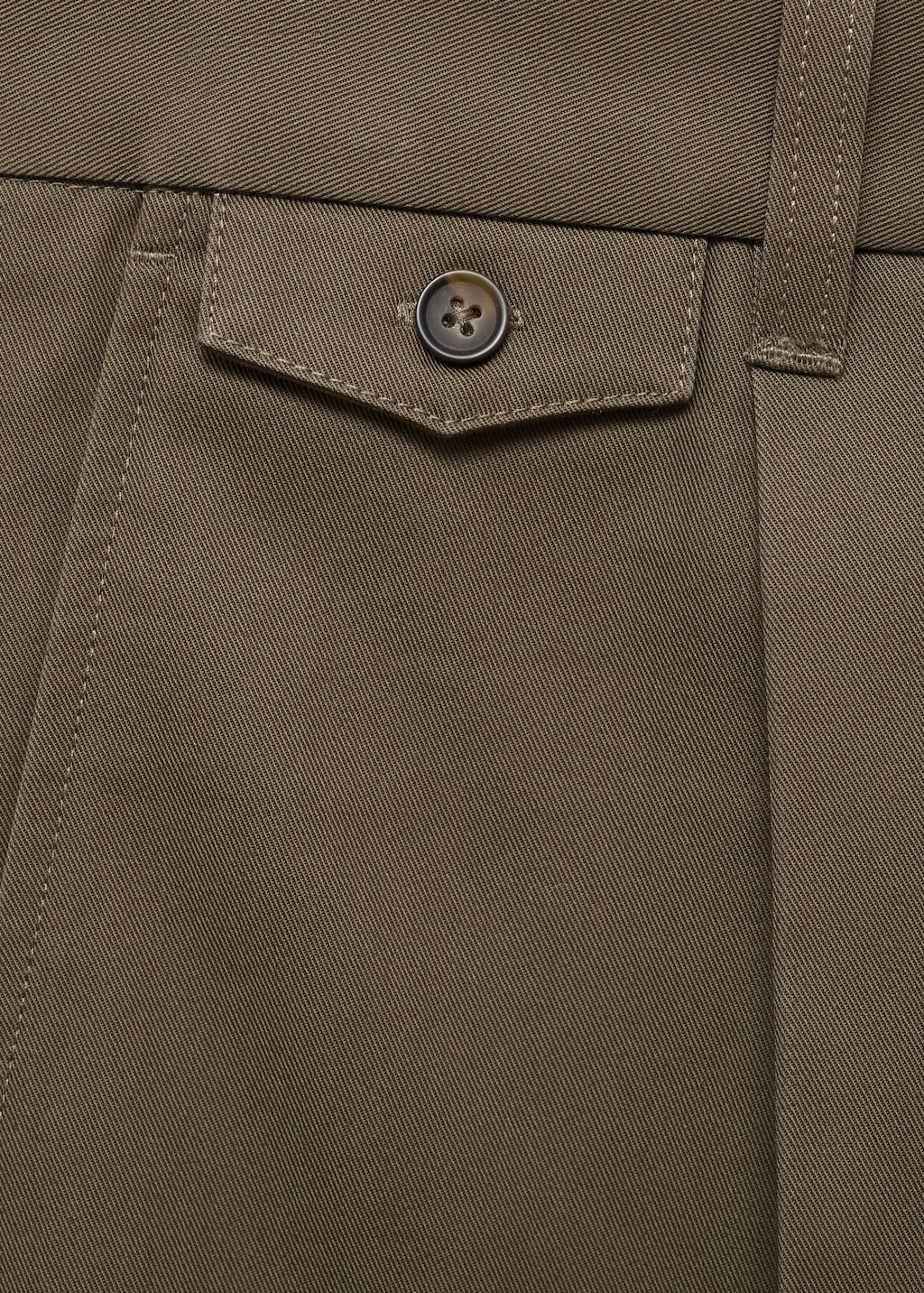 Regular fit pleated cotton pants