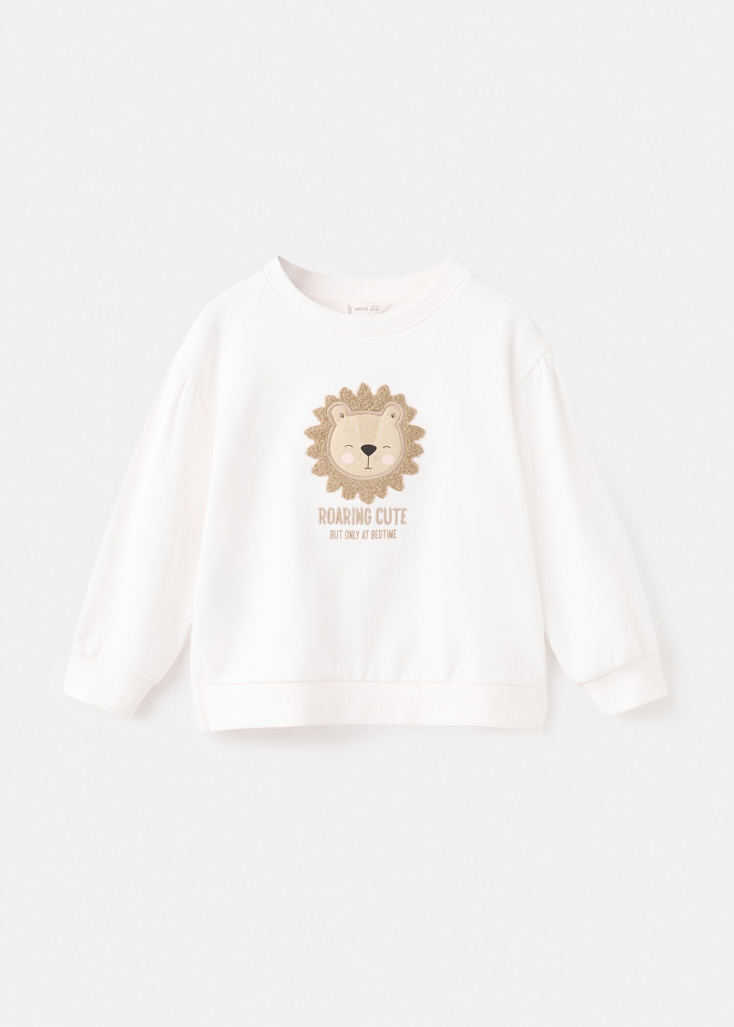 Sweat brodé lion - Article sans modèle