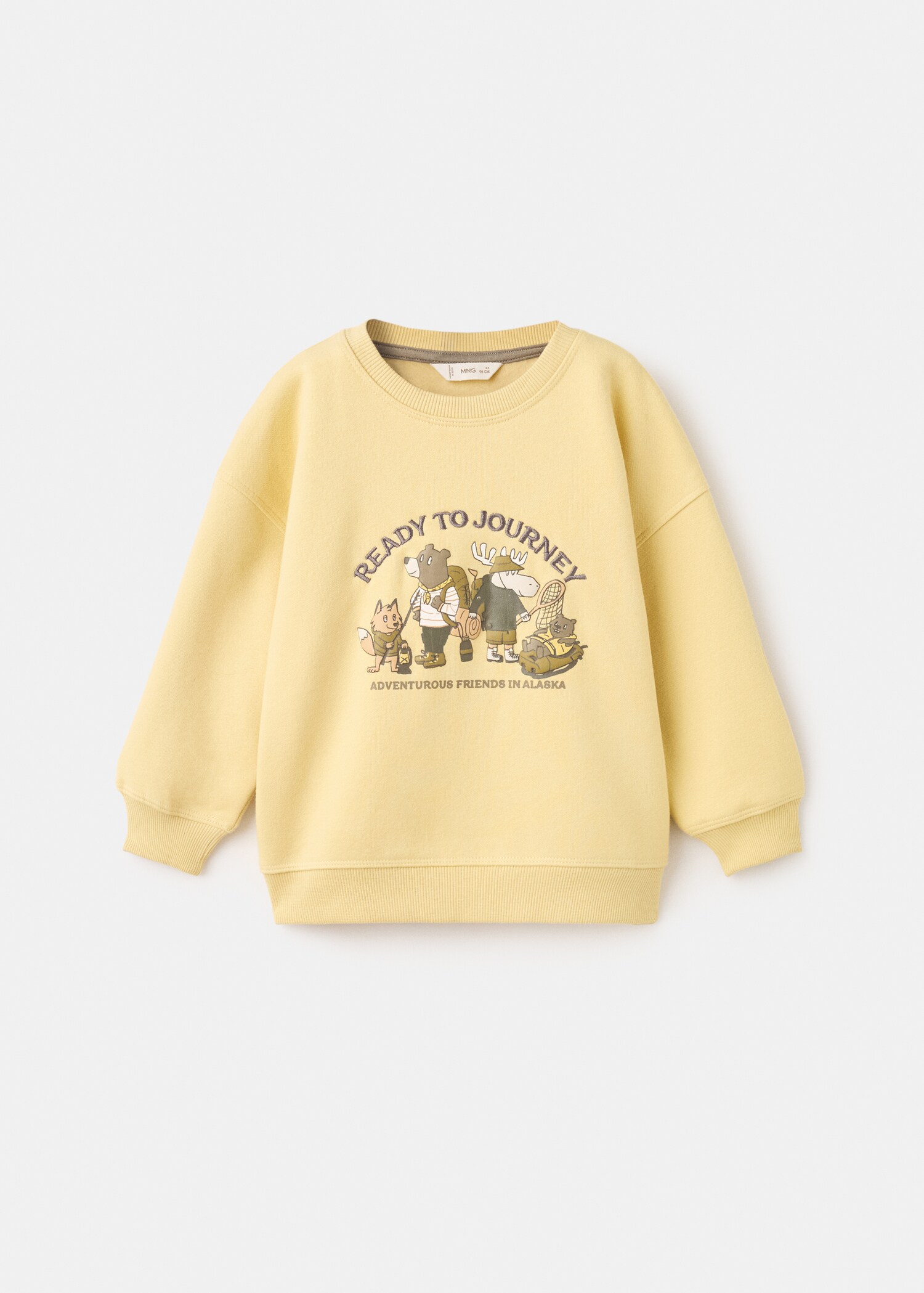 Sweatshirt journey - Article without model