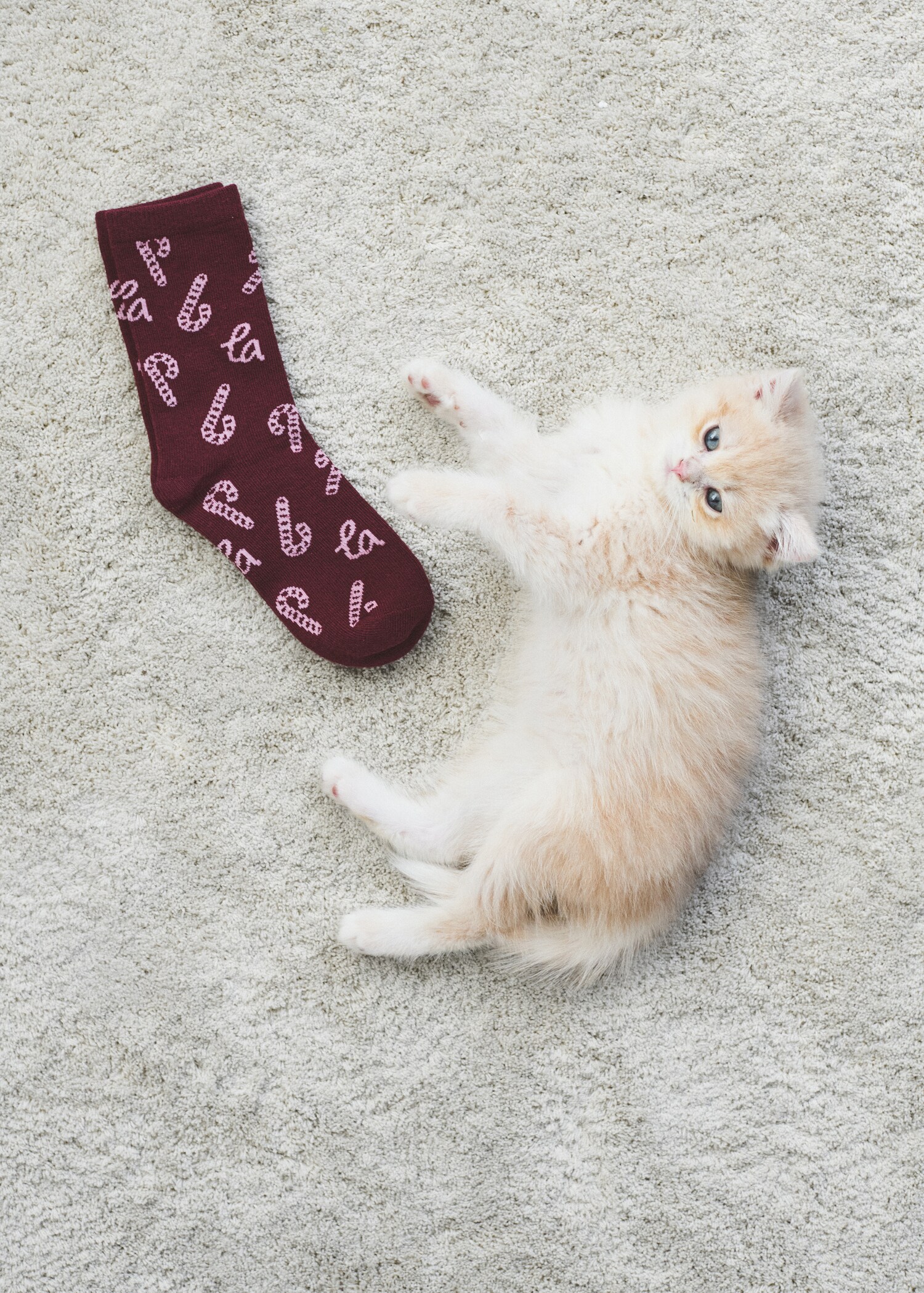 2 حزمة جوارب مطبوع عليها رسم عيد الميلاد - تفاصيل المنتج 5