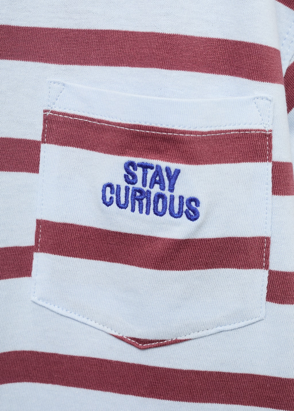 Striped t-shirt with embroidered detail