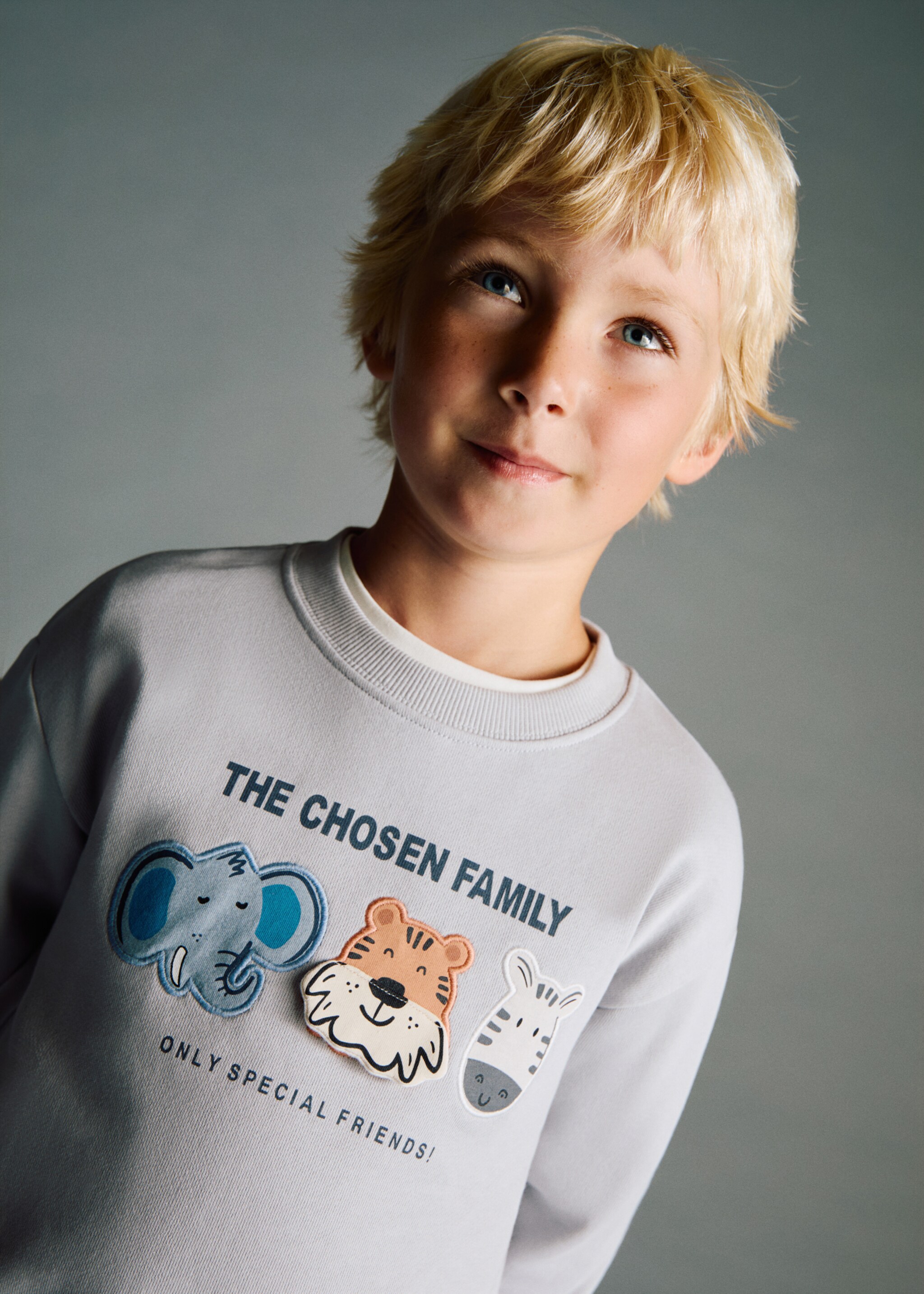 Embroidered animals sweatshirt - Medium plane, Ice Grey. Ref: 17034429-00.