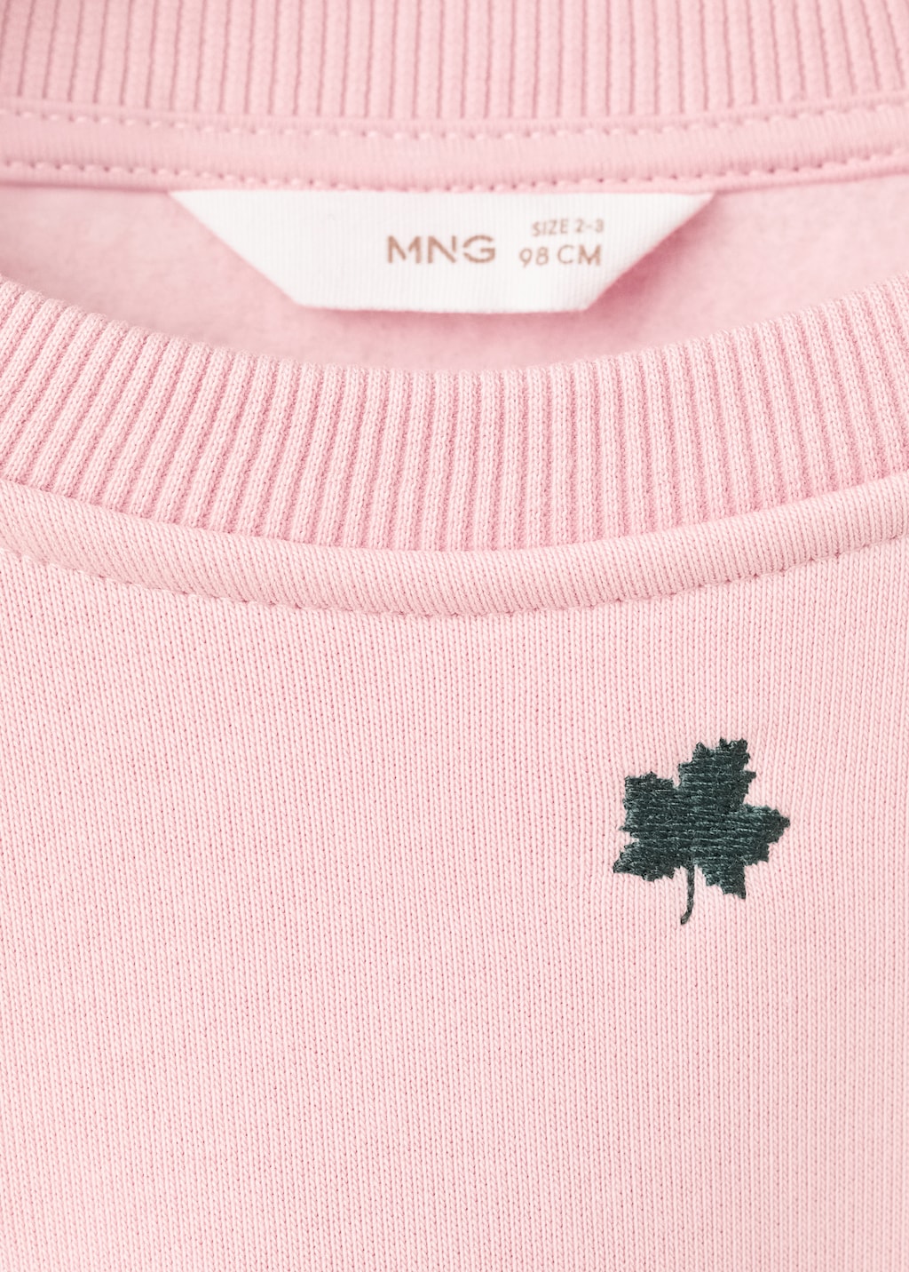 Embroidered cotton sweatshirt