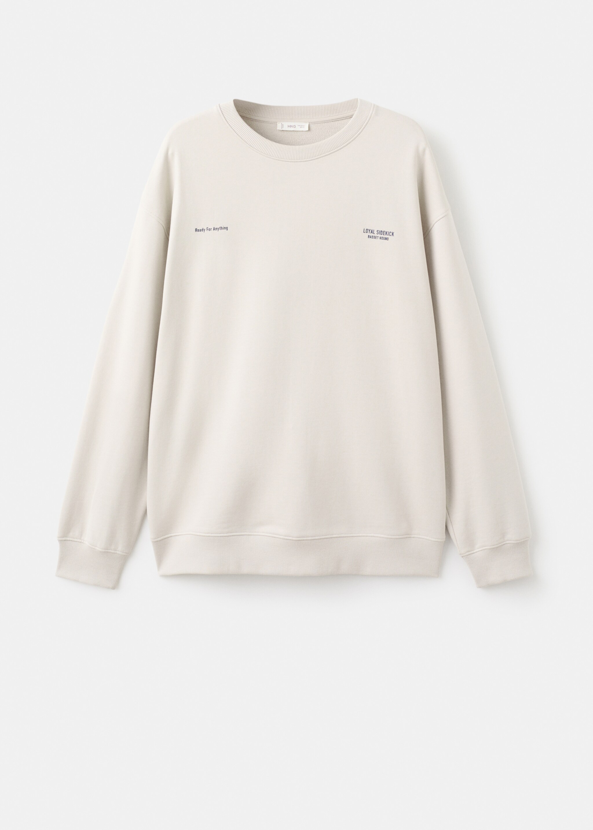 Printed cotton sweatshirt - Article without model, Light/Pastel Grey. Ref: 17035811-00.