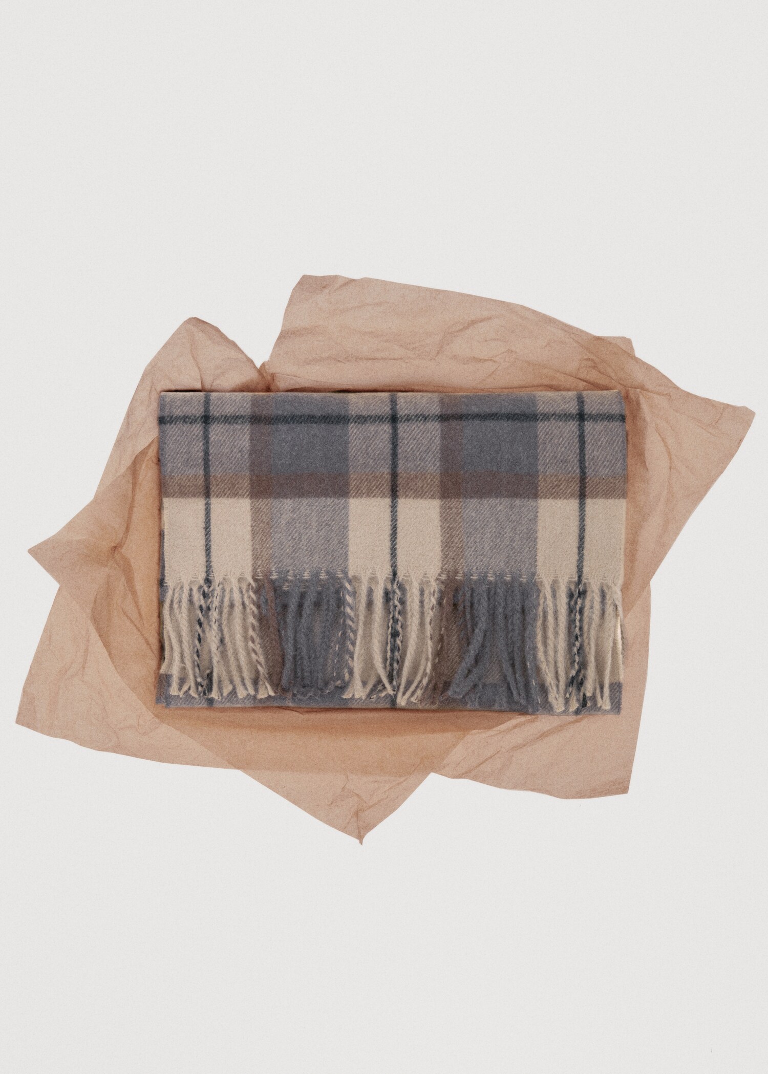 Check fringed scarf - Details of the article 9