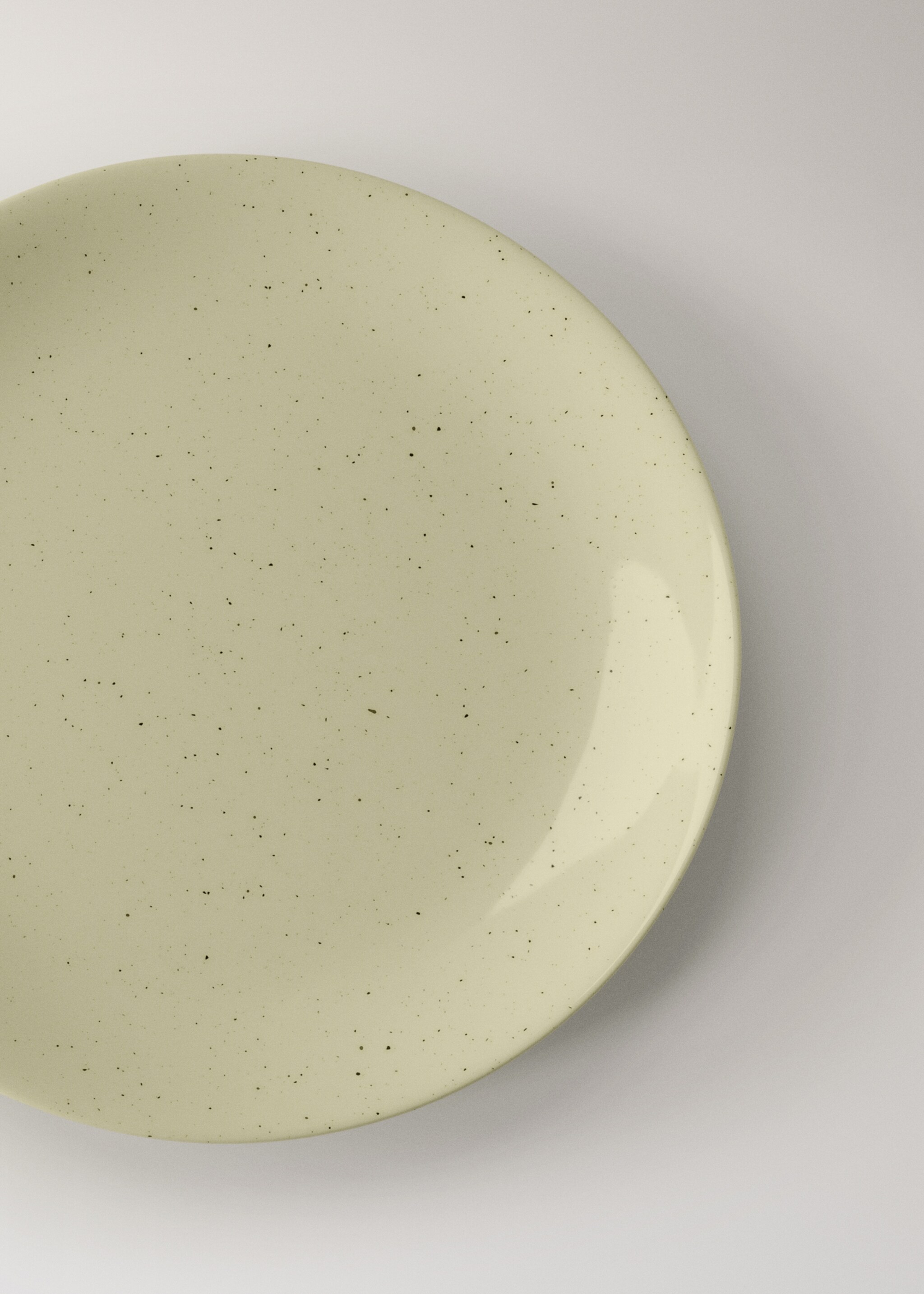 Flat plate soho - Details of the article 2