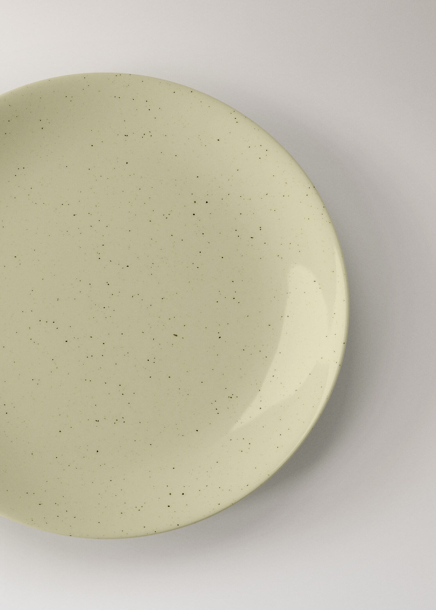 Flat plate soho - Details of the article 2