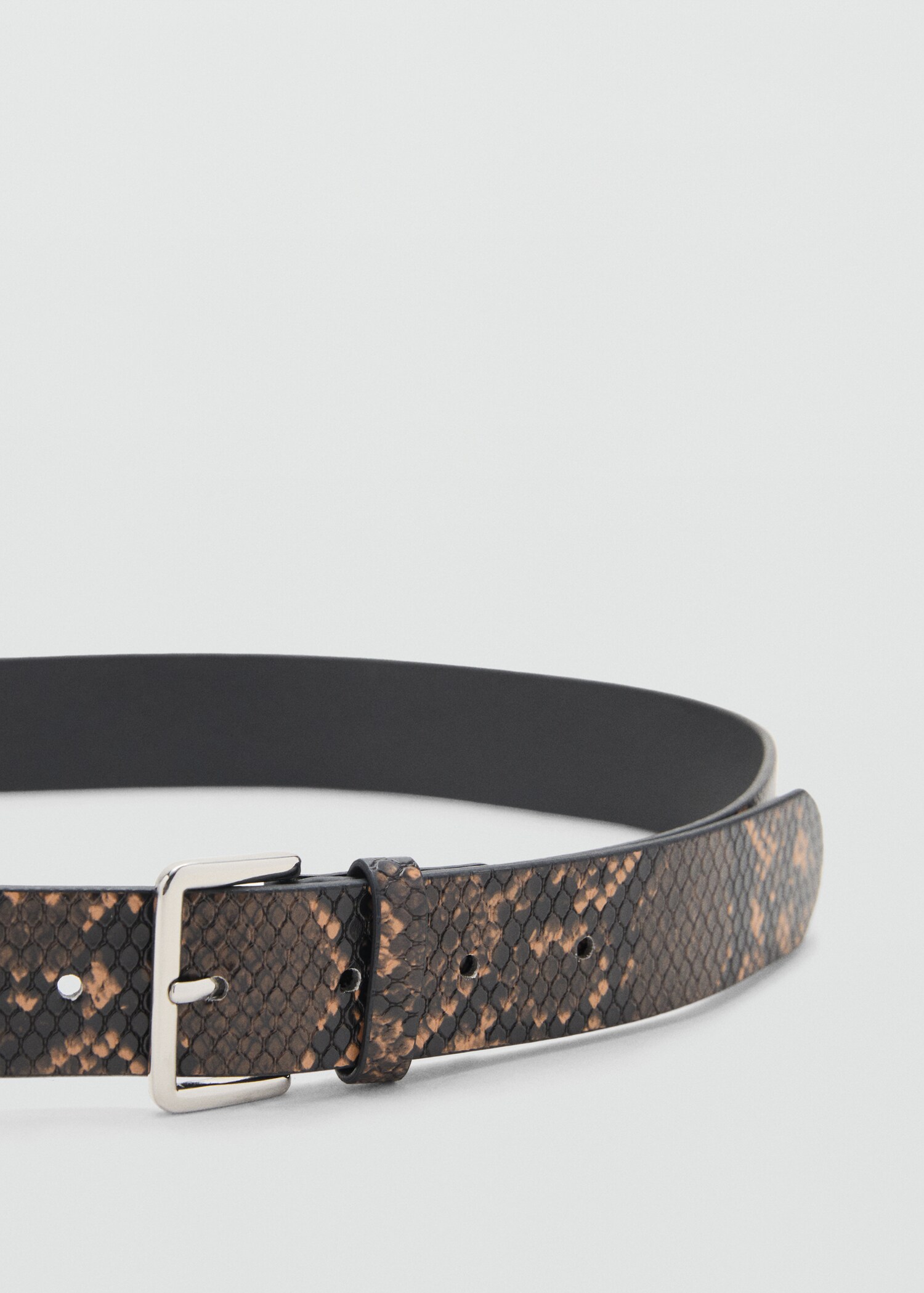 Belt snake - Details of the article 1