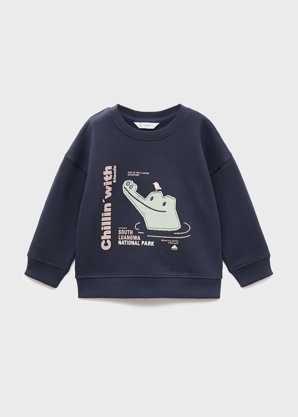 Printed embroidered sweatshirt