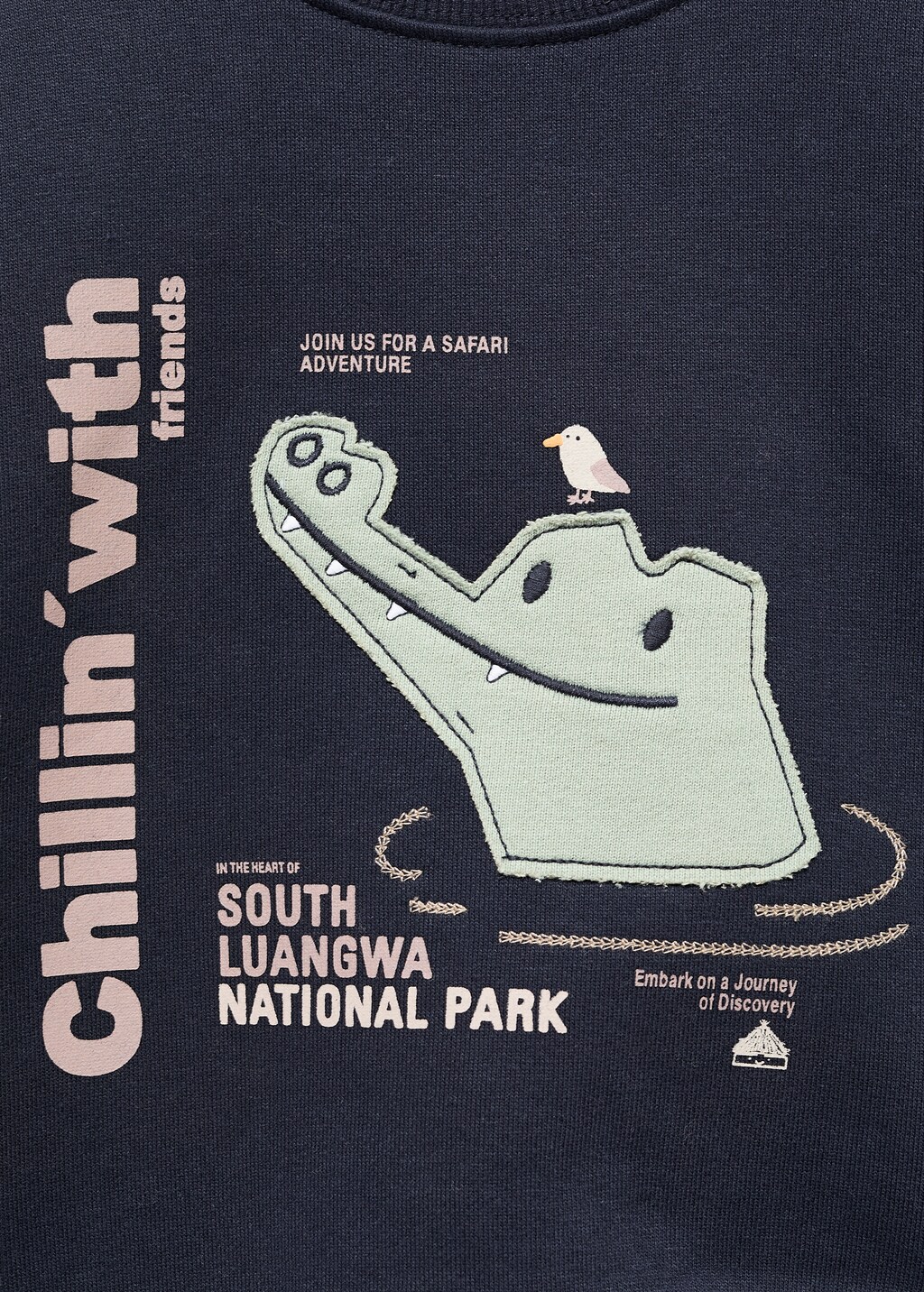 Printed embroidered sweatshirt