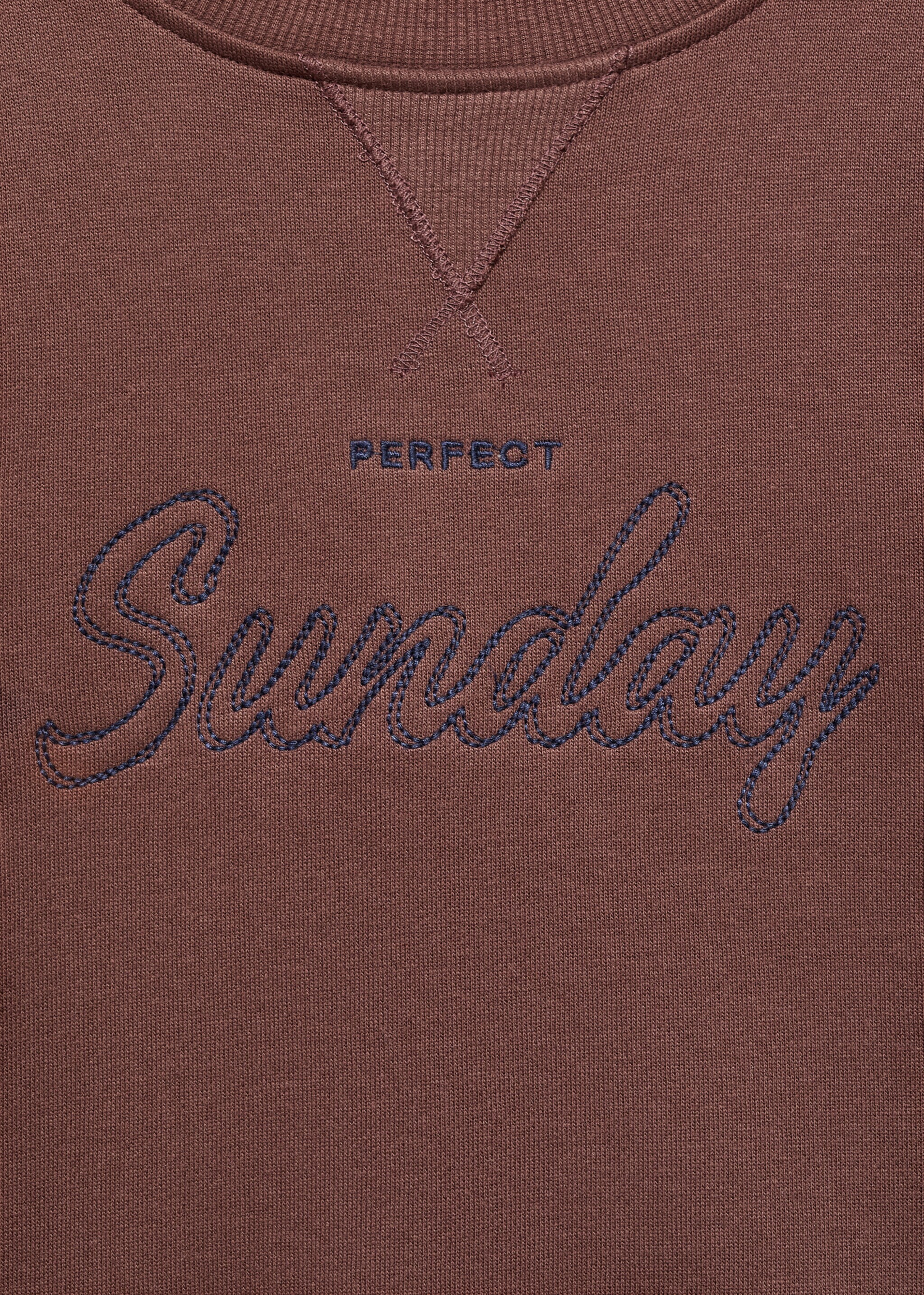 Sweatshirt sunday - Details of the article 8, Brown. Ref: 17046344-00.