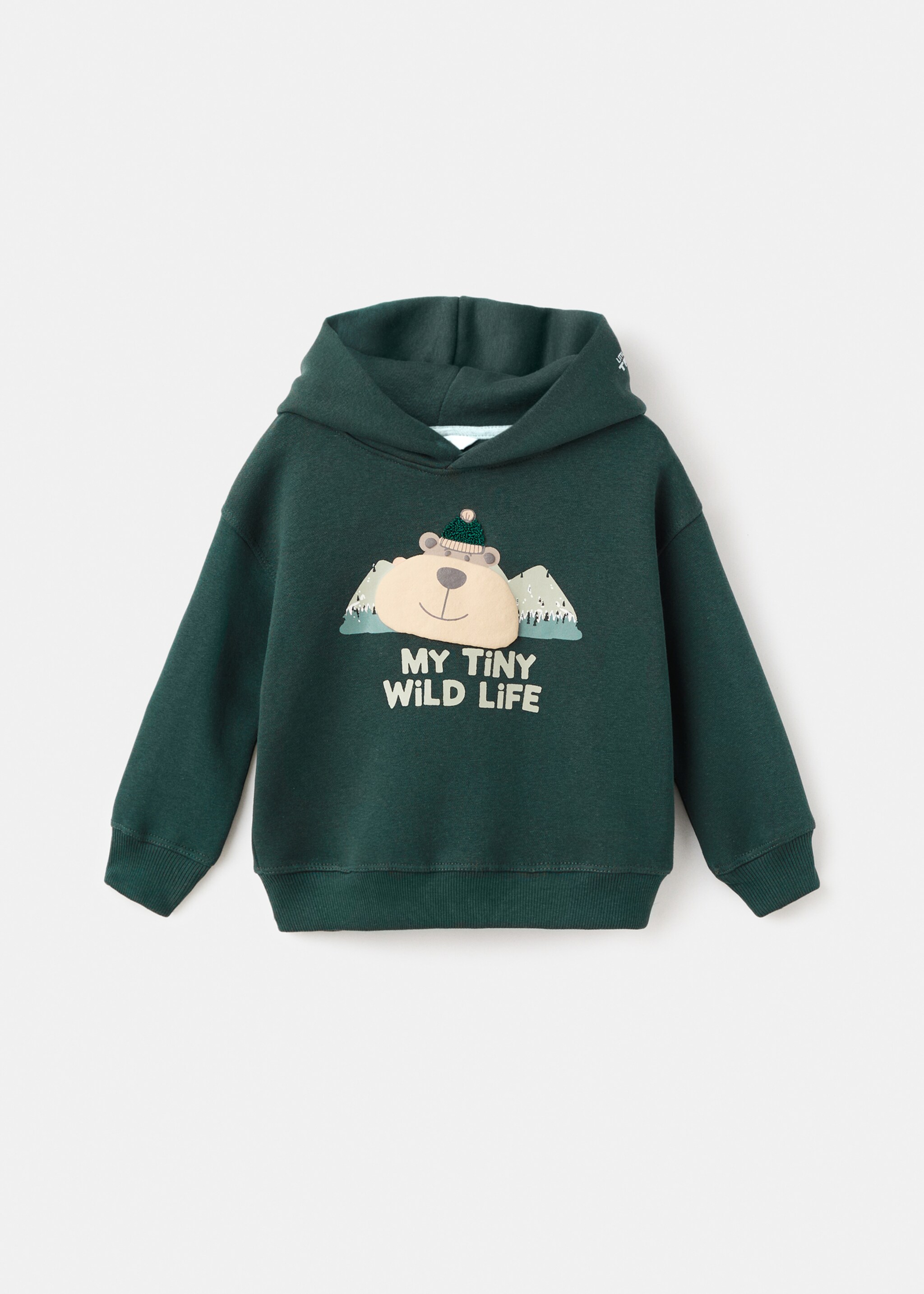 Printed hoodie - Article without model, Dark Green. Ref: 17047773-00.