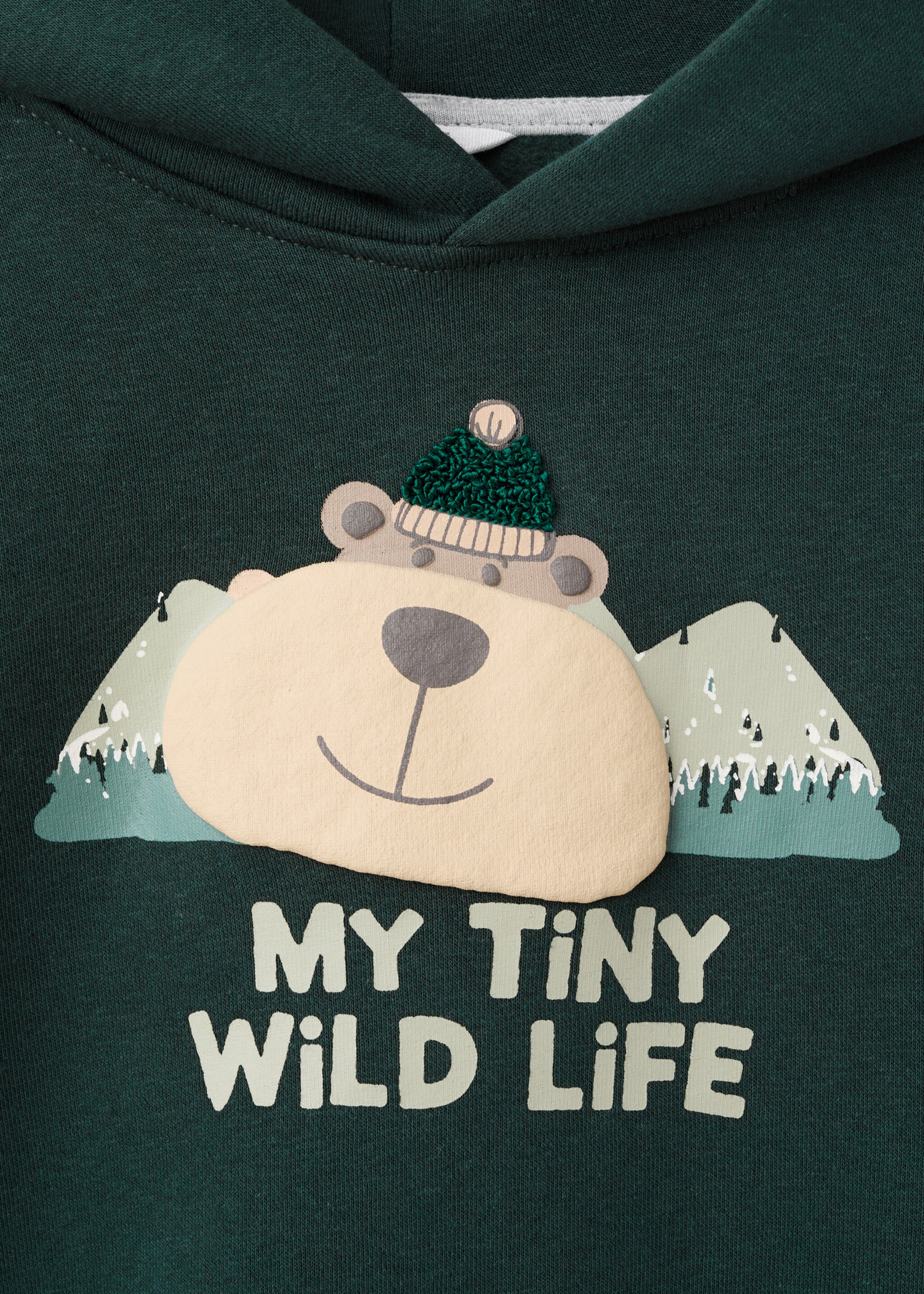 Printed hoodie - Details of the article 8, Dark Green. Ref: 17047773-00.