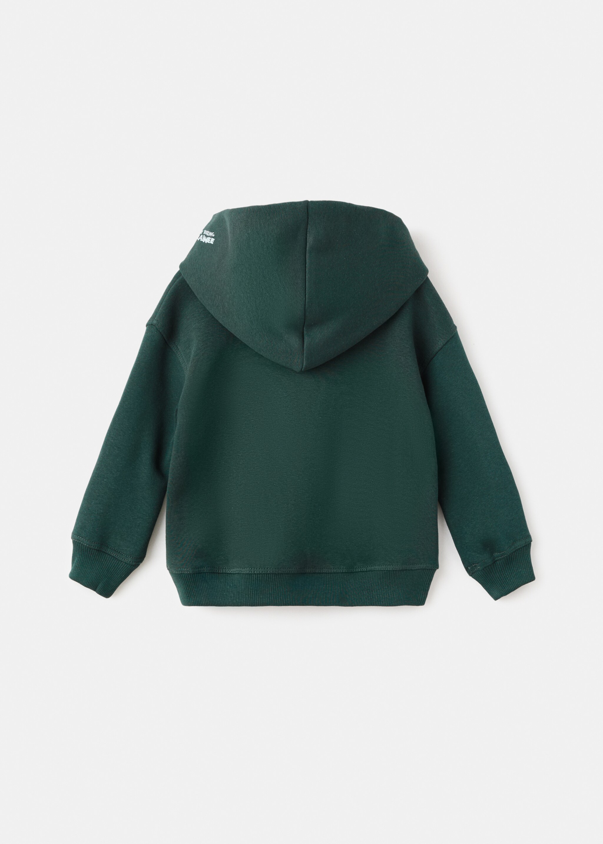 Printed hoodie - Reverse of the article, Dark Green. Ref: 17047773-00.