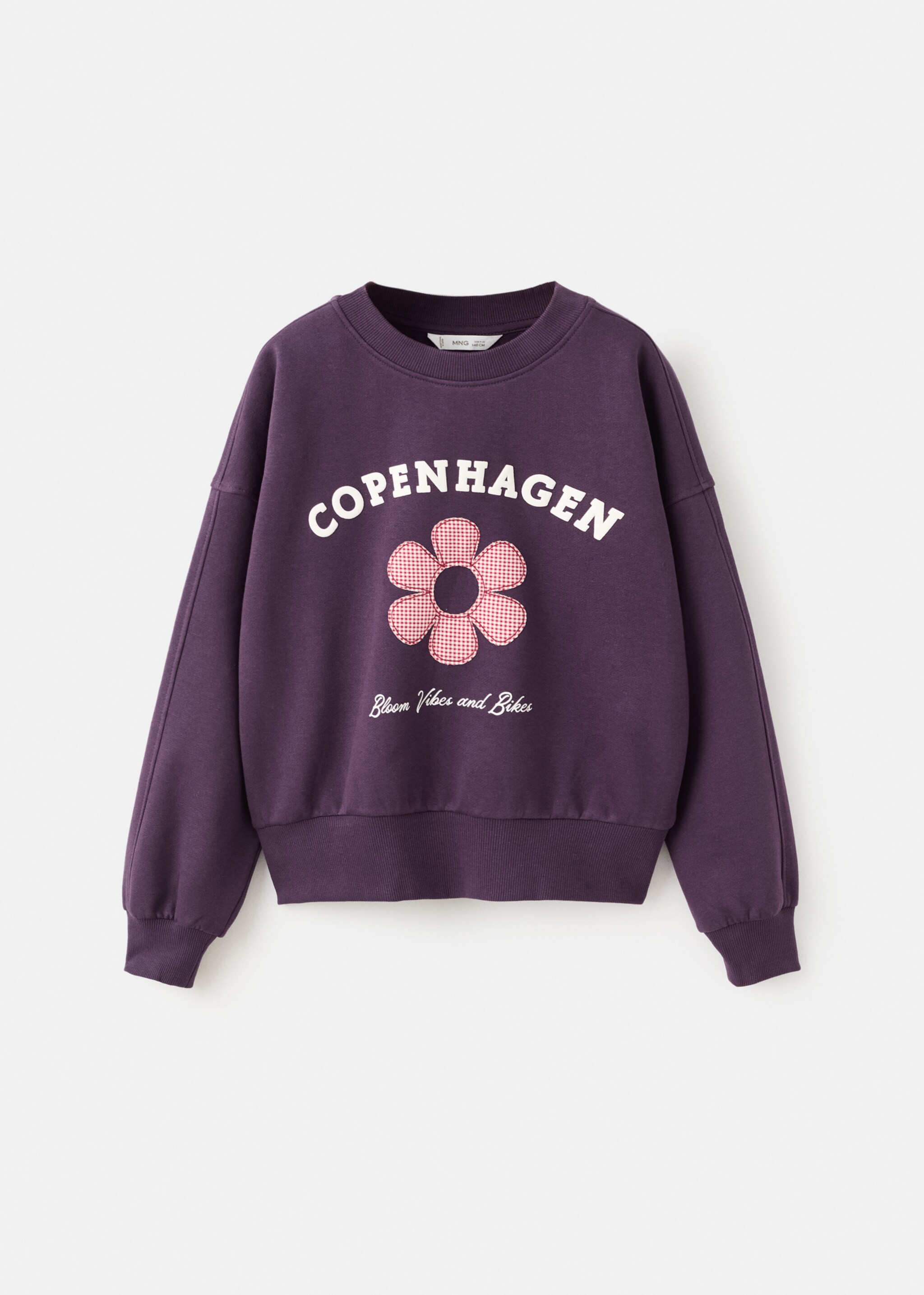 Printed embroidered sweatshirt - Article without model, Plum. Ref: 17047891-00.