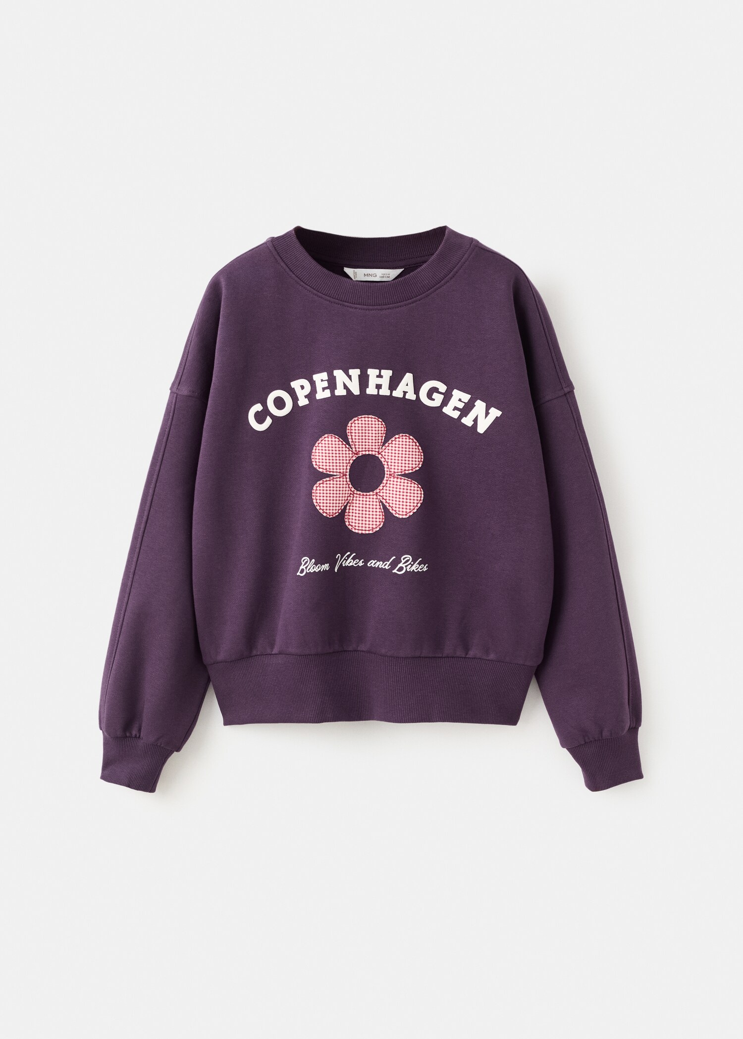 Printed embroidered sweatshirt - Article without model