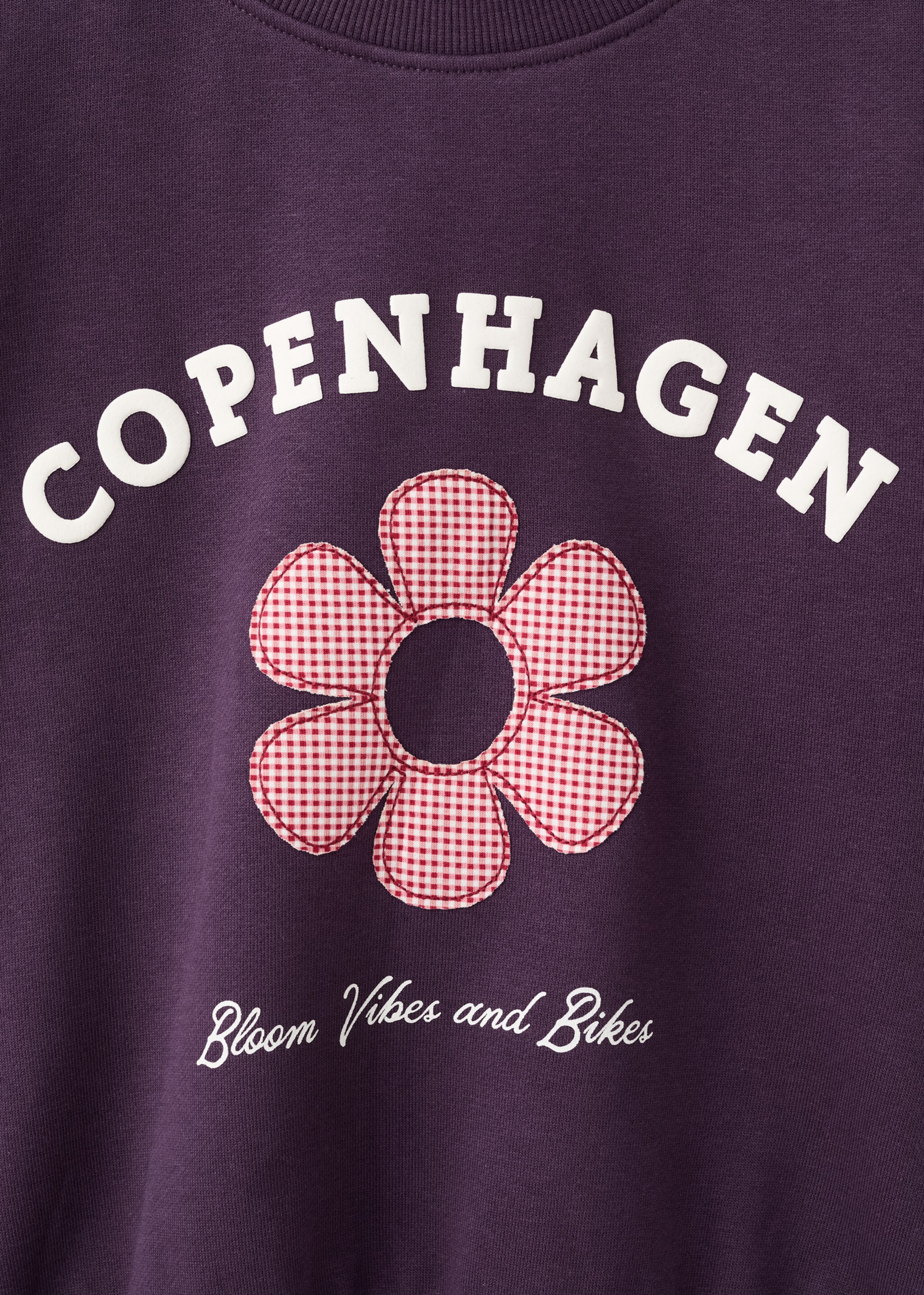 Printed embroidered sweatshirt - Details of the article 0, Plum. Ref: 17047891-00.