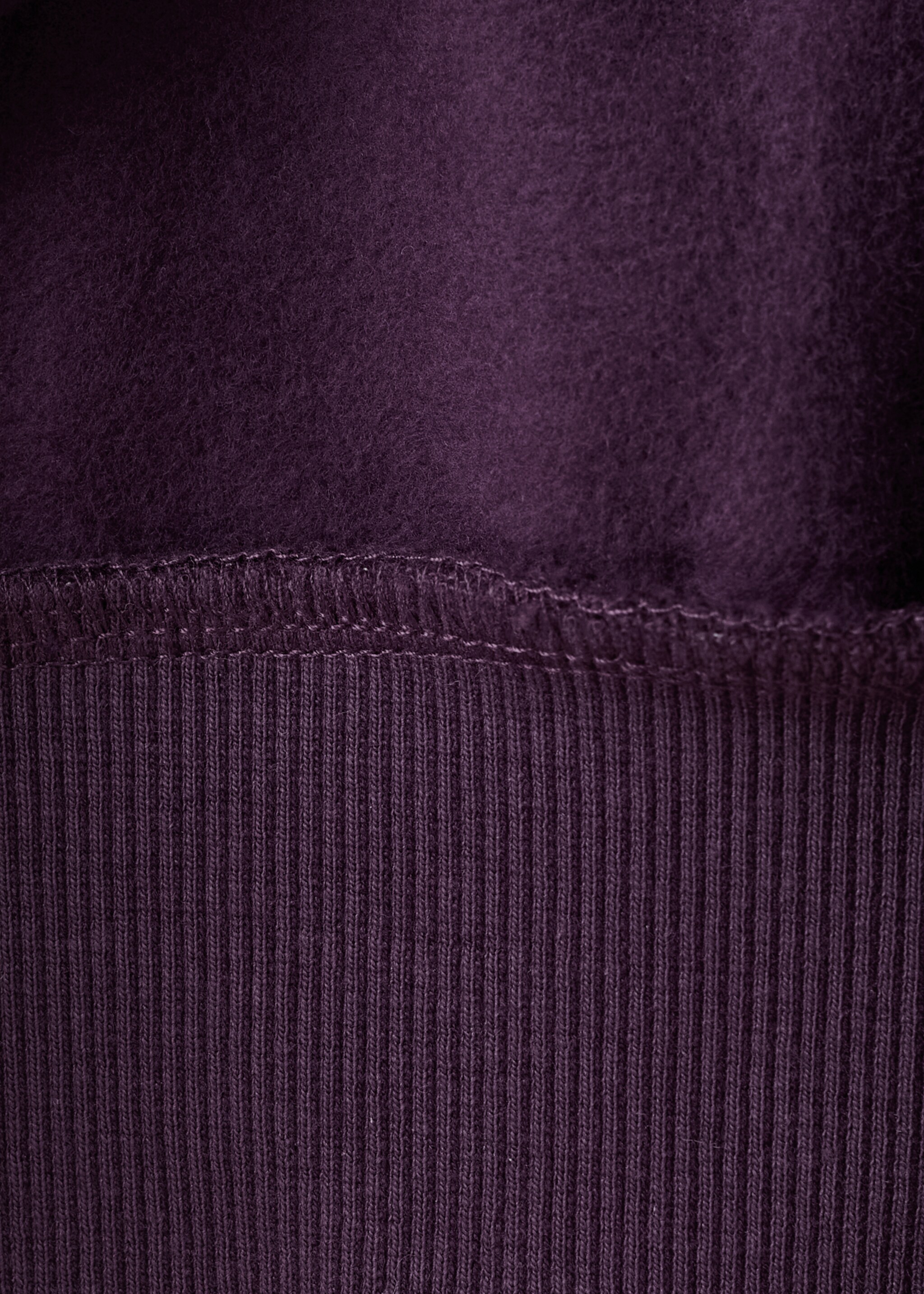 Printed embroidered sweatshirt - Details of the article 8, Plum. Ref: 17047891-00.