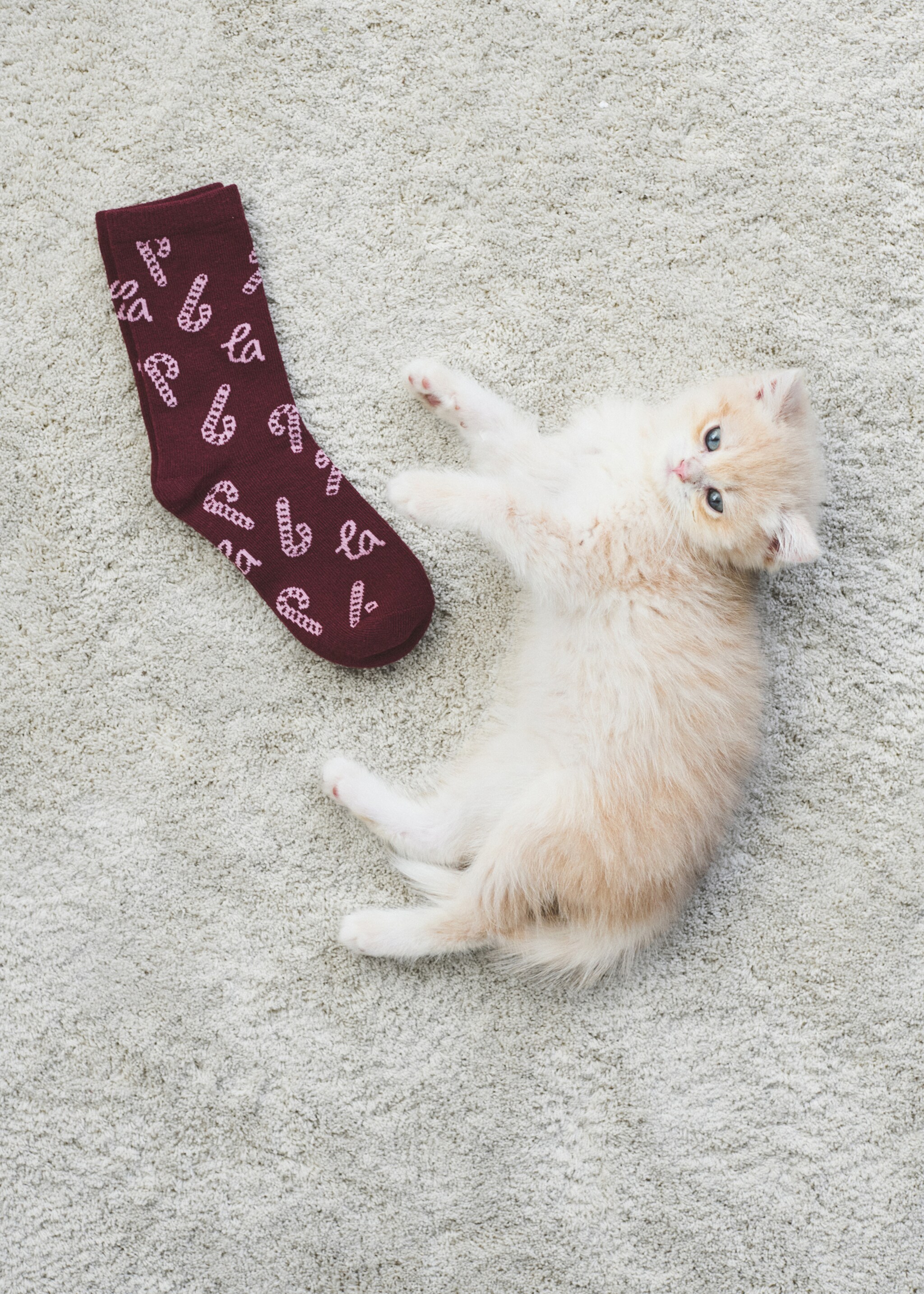 2 pack Christmas printed socks - Details of the article 5, Dark Green. Ref: 17049103-00.