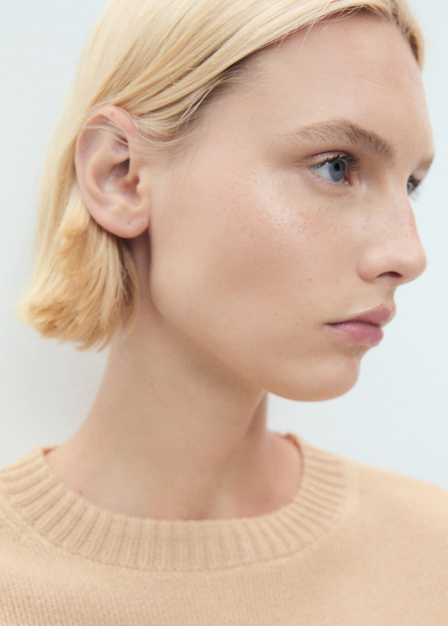 Short-sleeved crop sweater - Details of the article 1