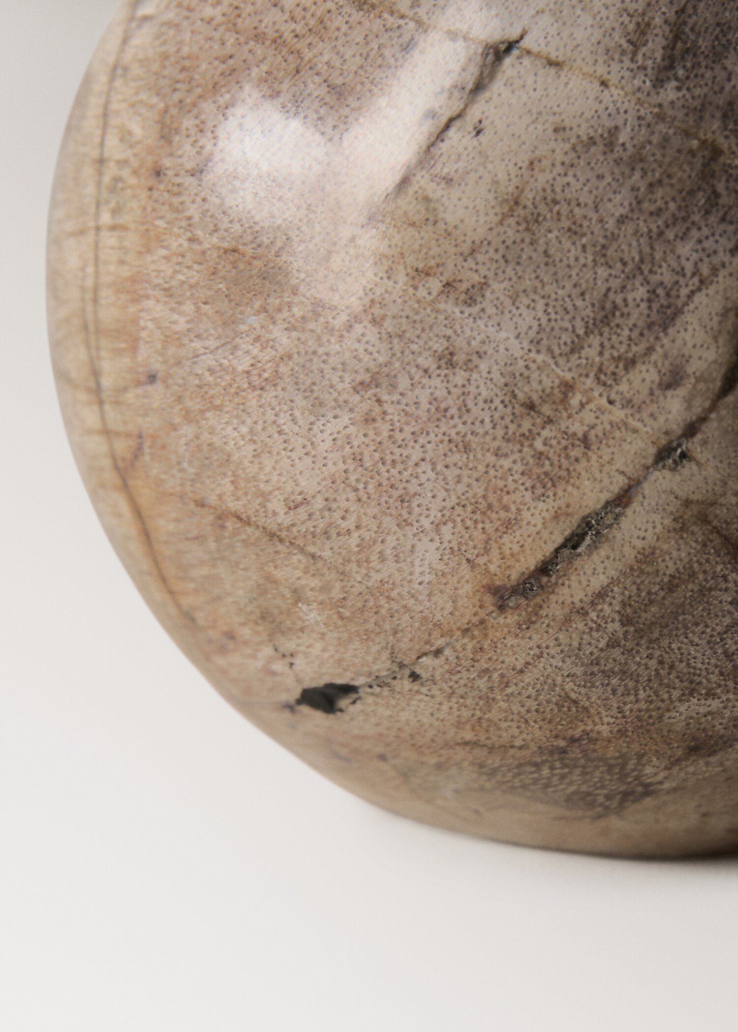 Petrified wood paperweight - Details of the article 1