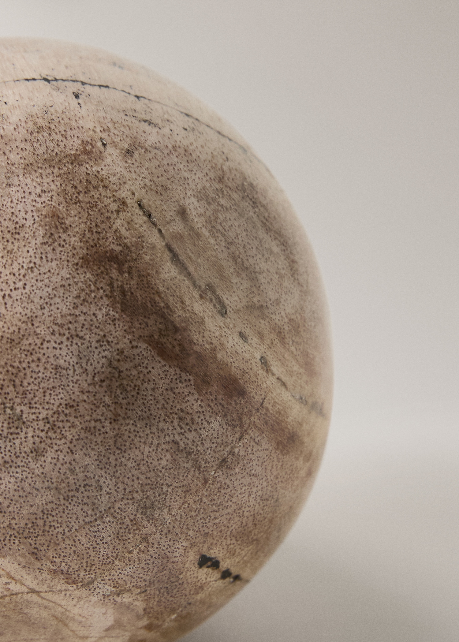 Petrified wood paperweight - Details of the article 2