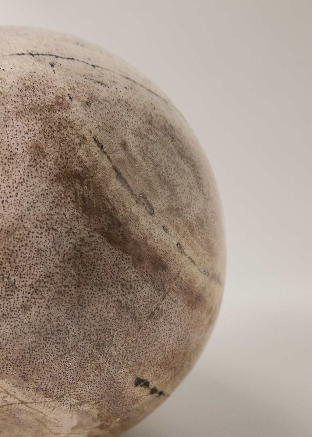 Petrified wood paperweight