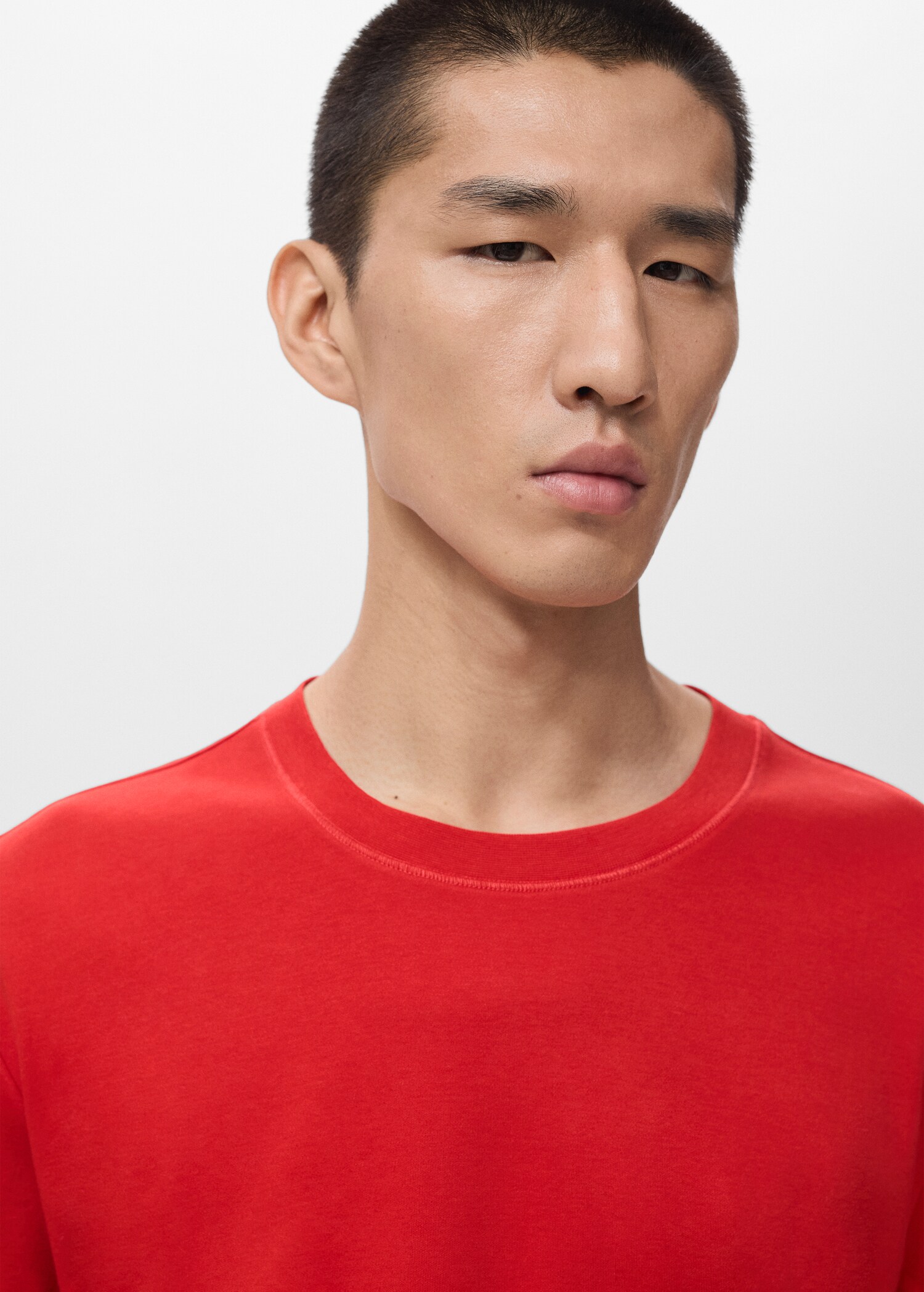 Medium weight regular fit T-shirt - Details of the article 1