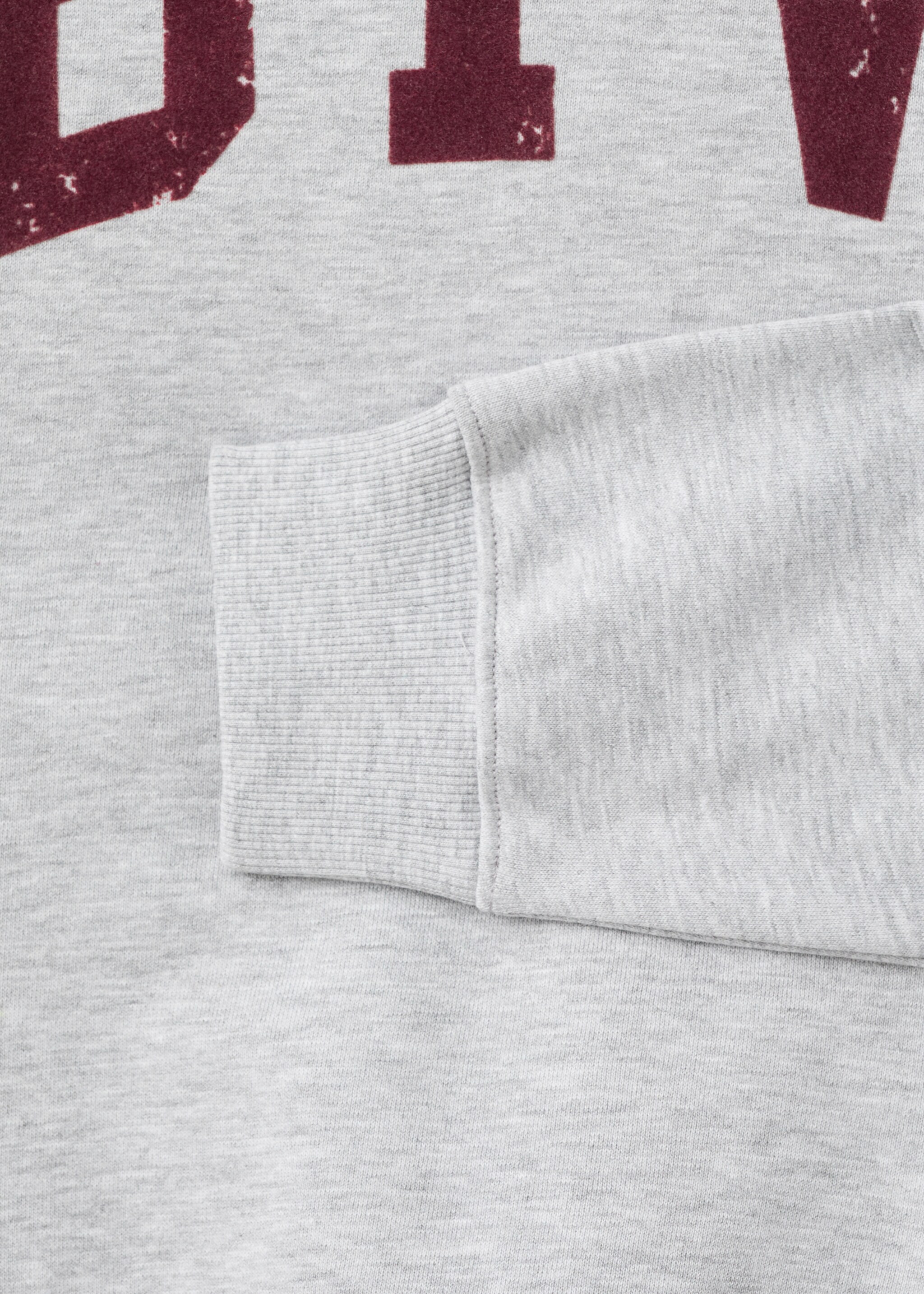 Printed cotton sweatshirt - Details of the article 8, Light Heather Grey. Ref: 17065793-00.