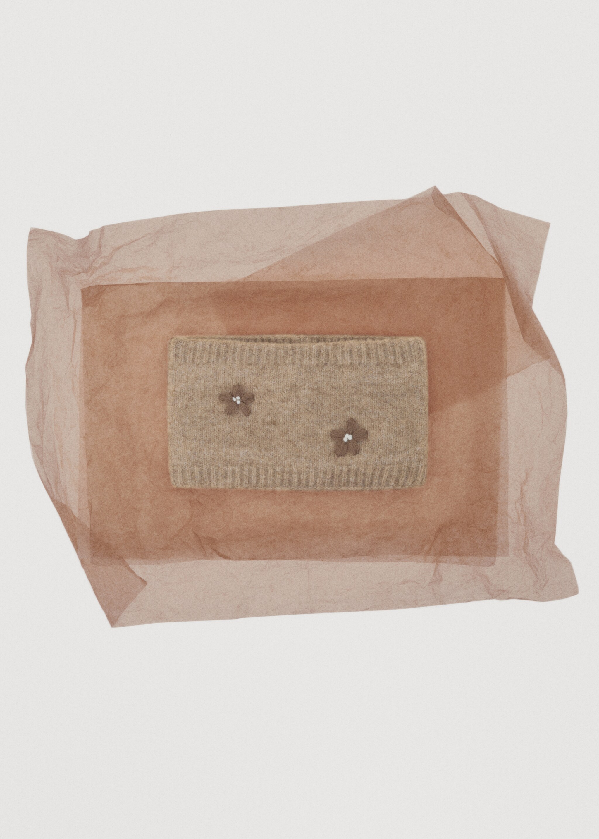 Embroidered knitted scarf - Details of the article 6, Sand. Ref: 17066347-00.