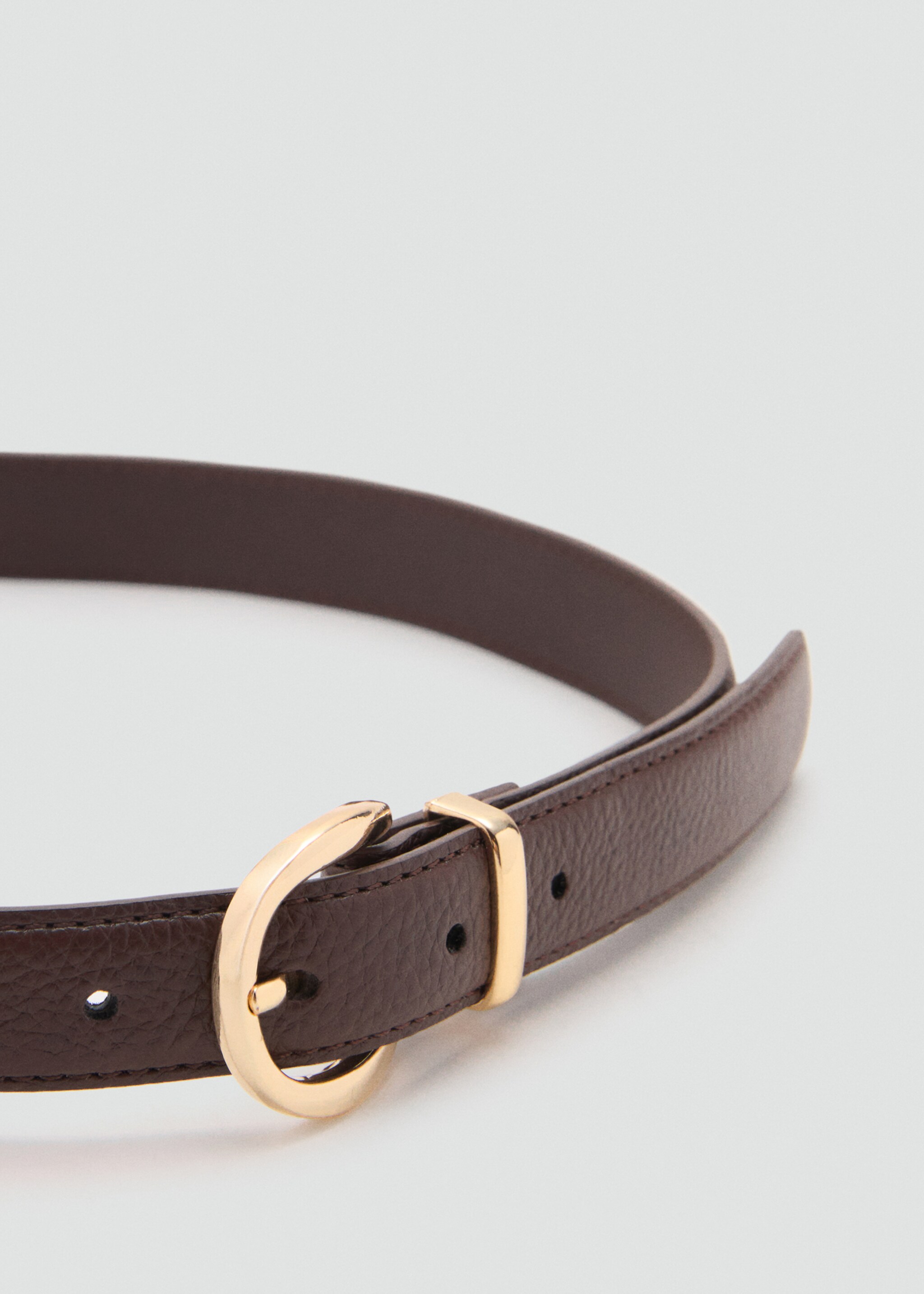 Oval buckle belt - Details of the article 1, Chocolate. Ref: 17066349-00.
