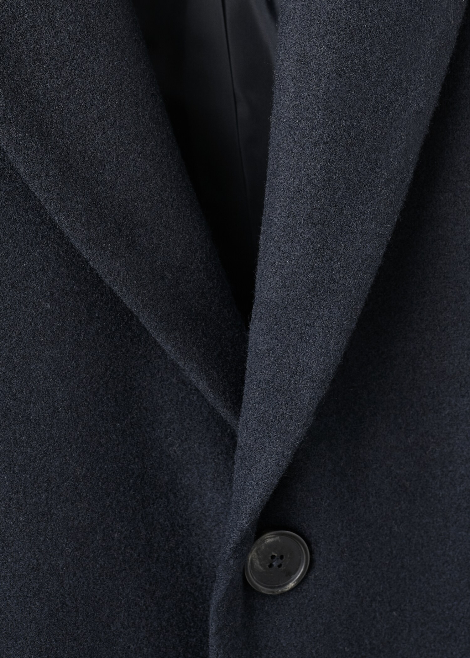 Coat class - Details of the article 8