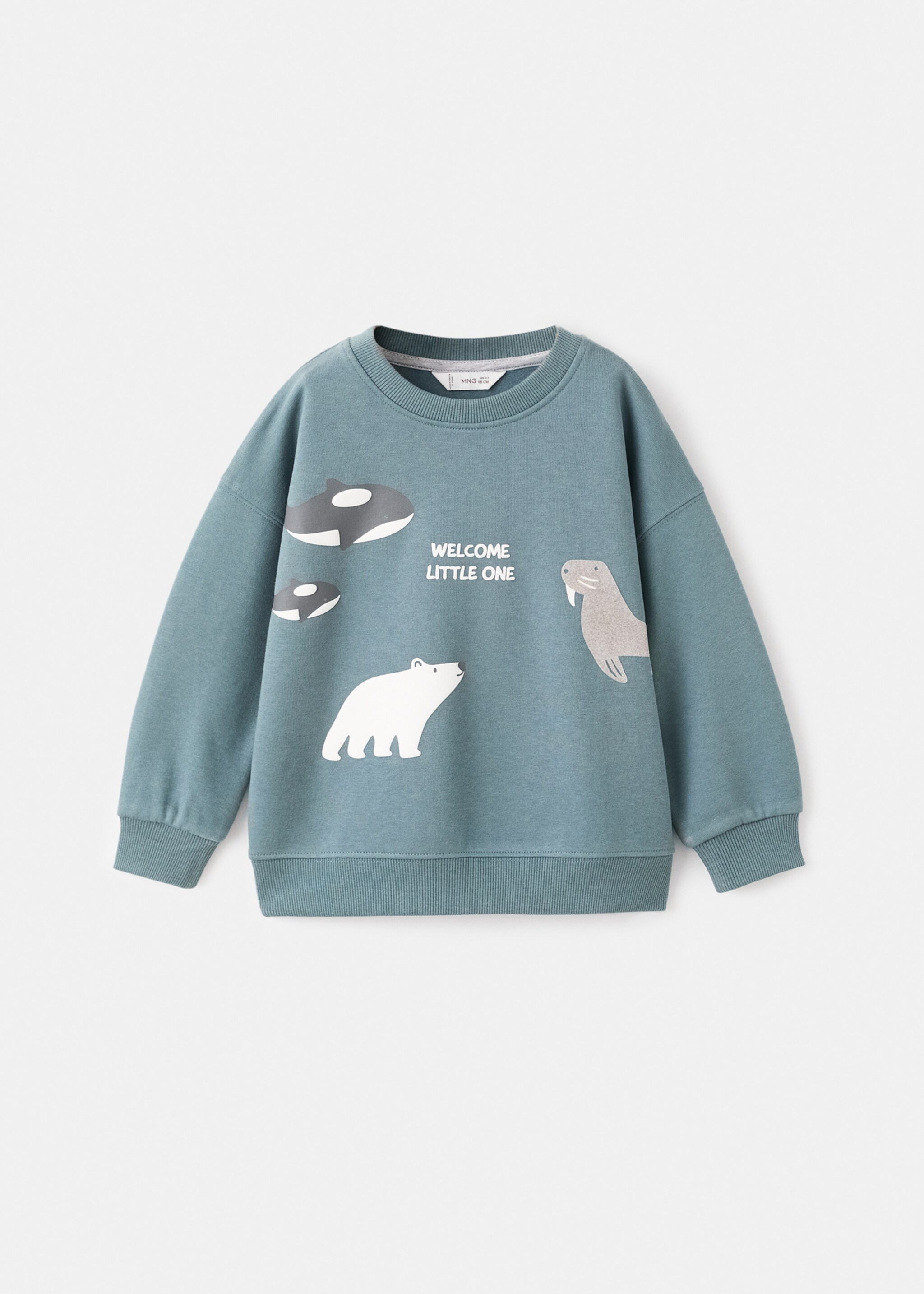 Animal print sweatshirt - Article without model, Aqua Green. Ref: 17066739-00.