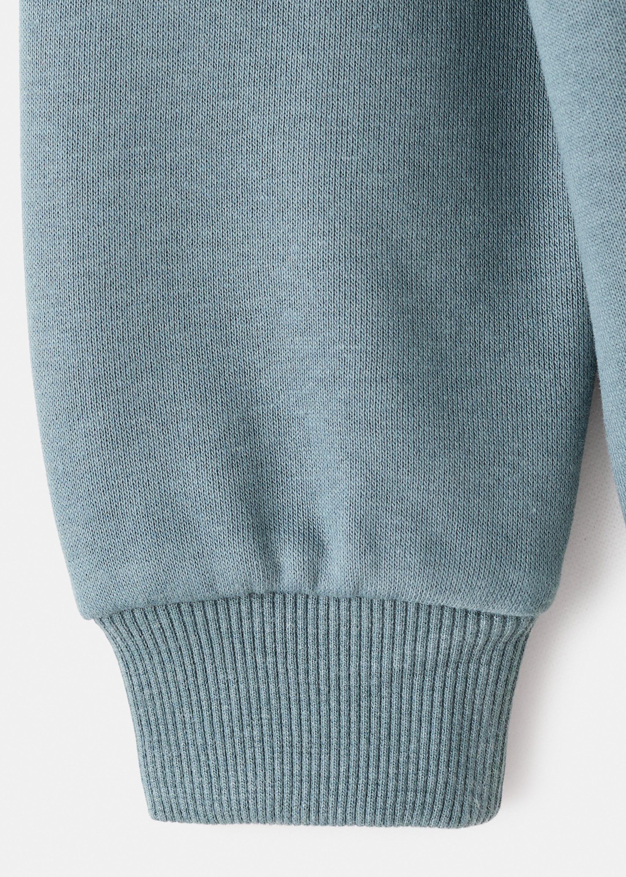 Animal print sweatshirt - Details of the article 0, Aqua Green. Ref: 17066739-00.