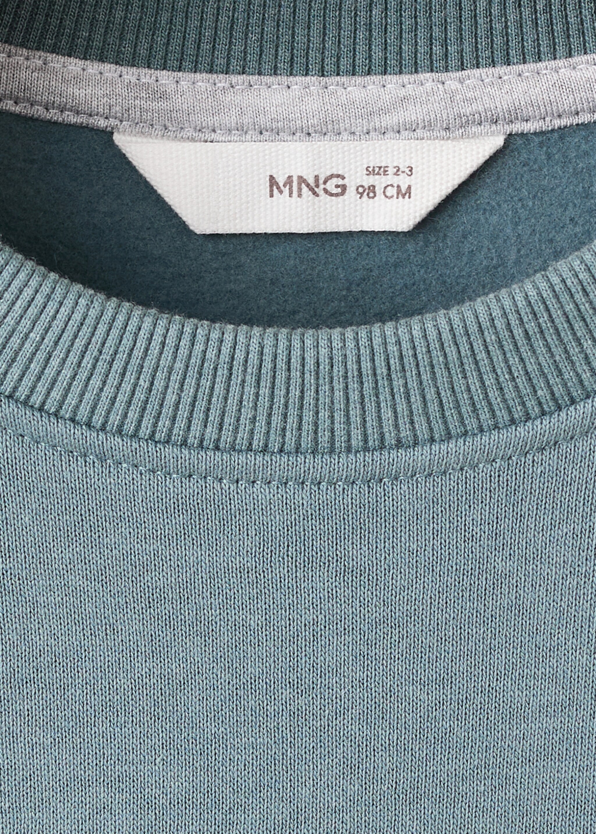 Animal print sweatshirt - Details of the article 8, Aqua Green. Ref: 17066739-00.