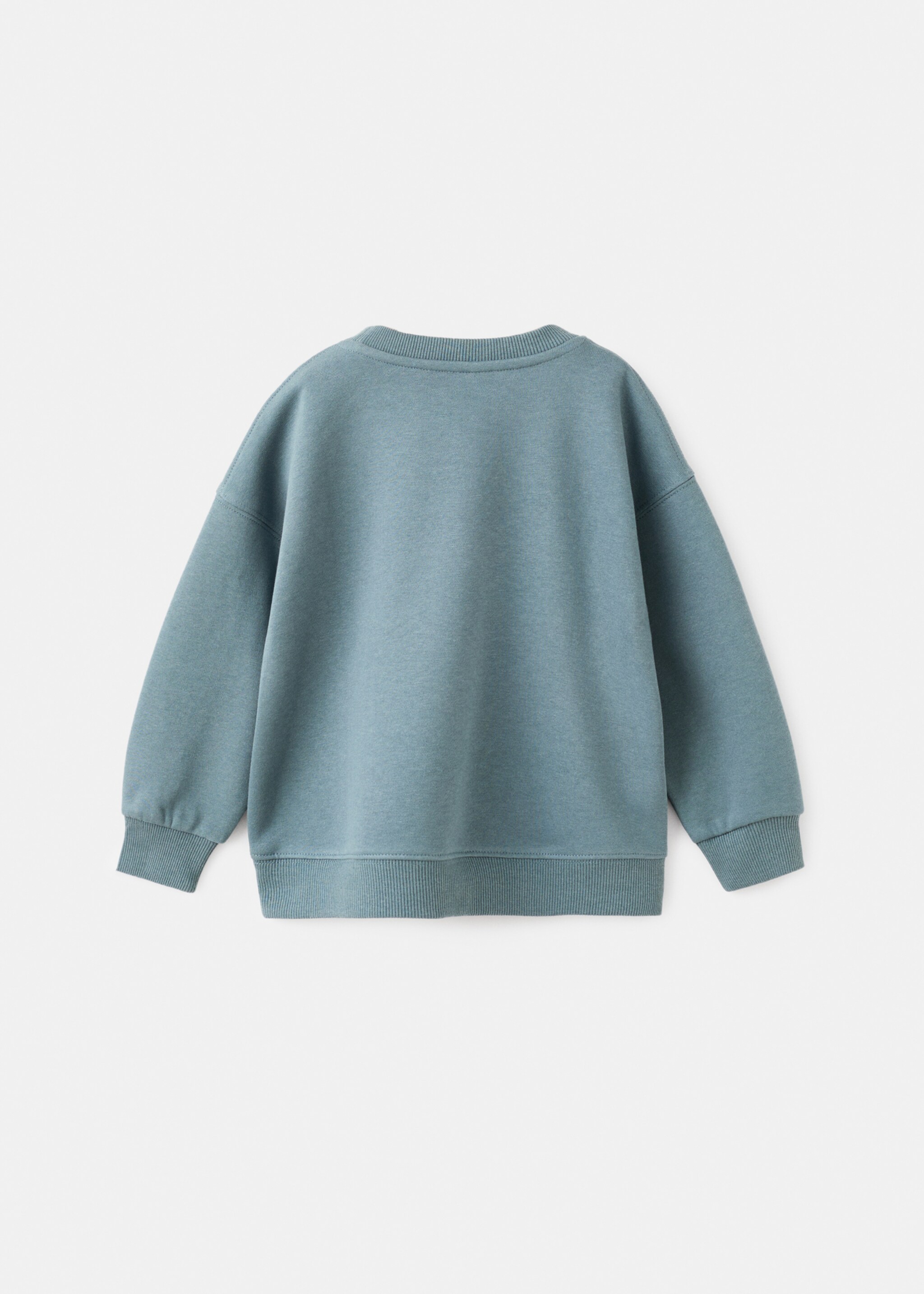 Animal print sweatshirt - Reverse of the article, Aqua Green. Ref: 17066739-00.