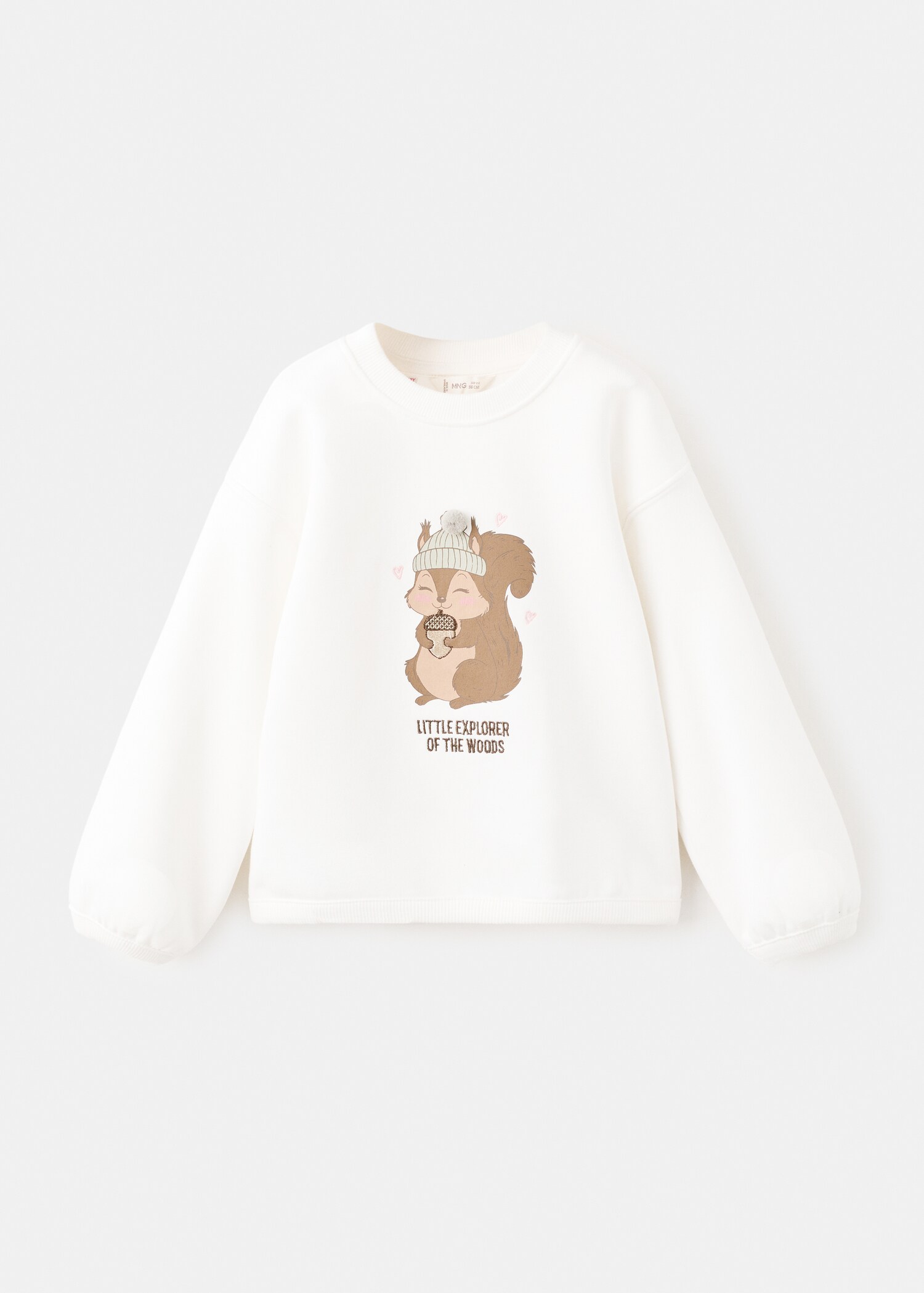 Printed embroidered sweatshirt - Article without model