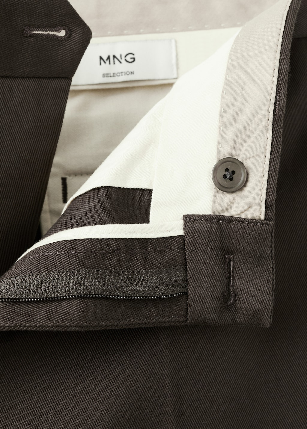 Regular fit pleated cotton pants