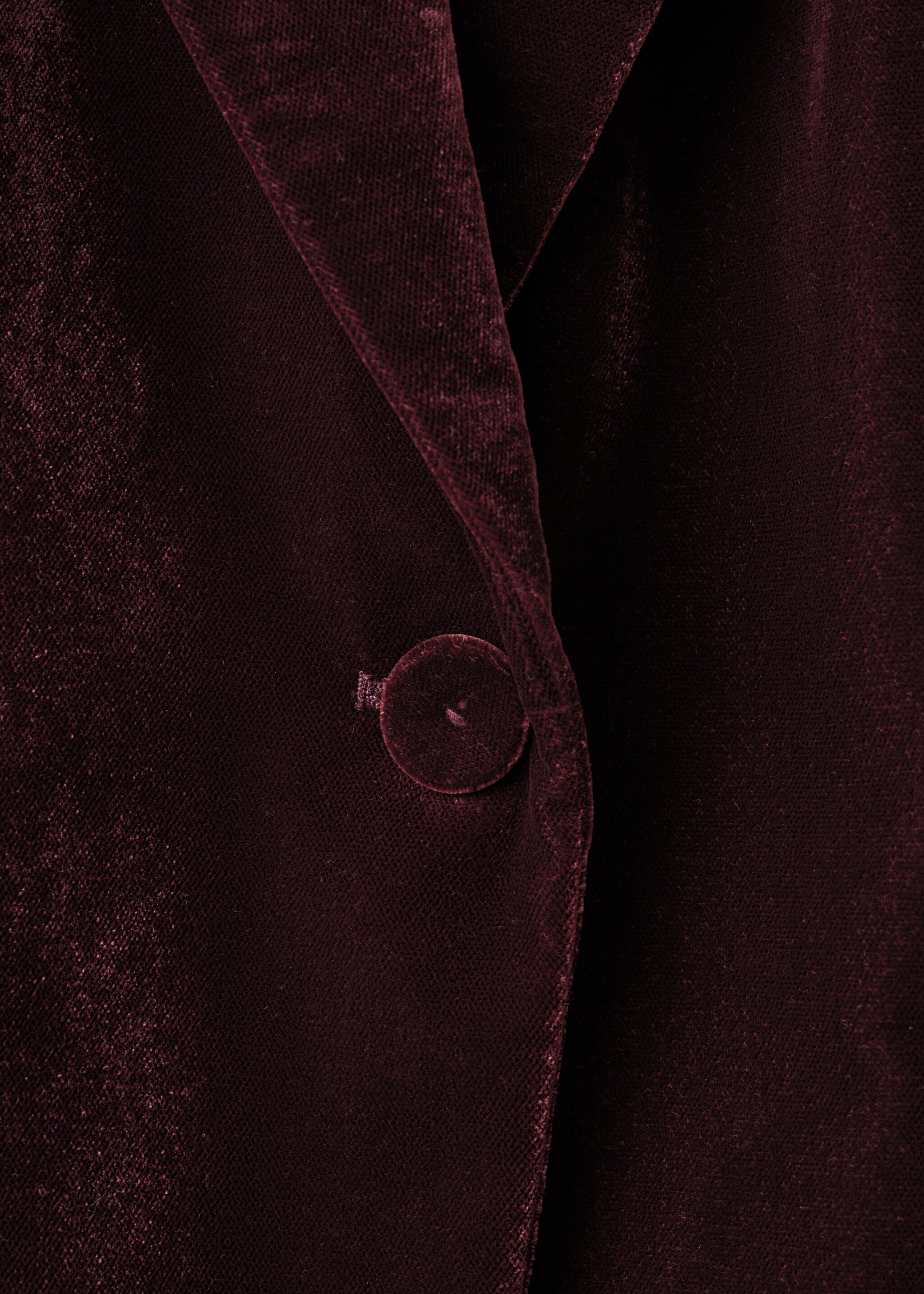 Structured velvet blazer - Details of the article 0, Maroon. Ref: 17069406-00.