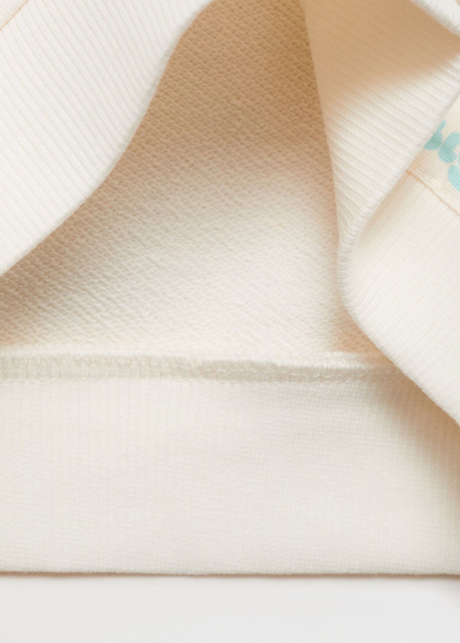 Bluey-print sweatshirt - Details of the article 0