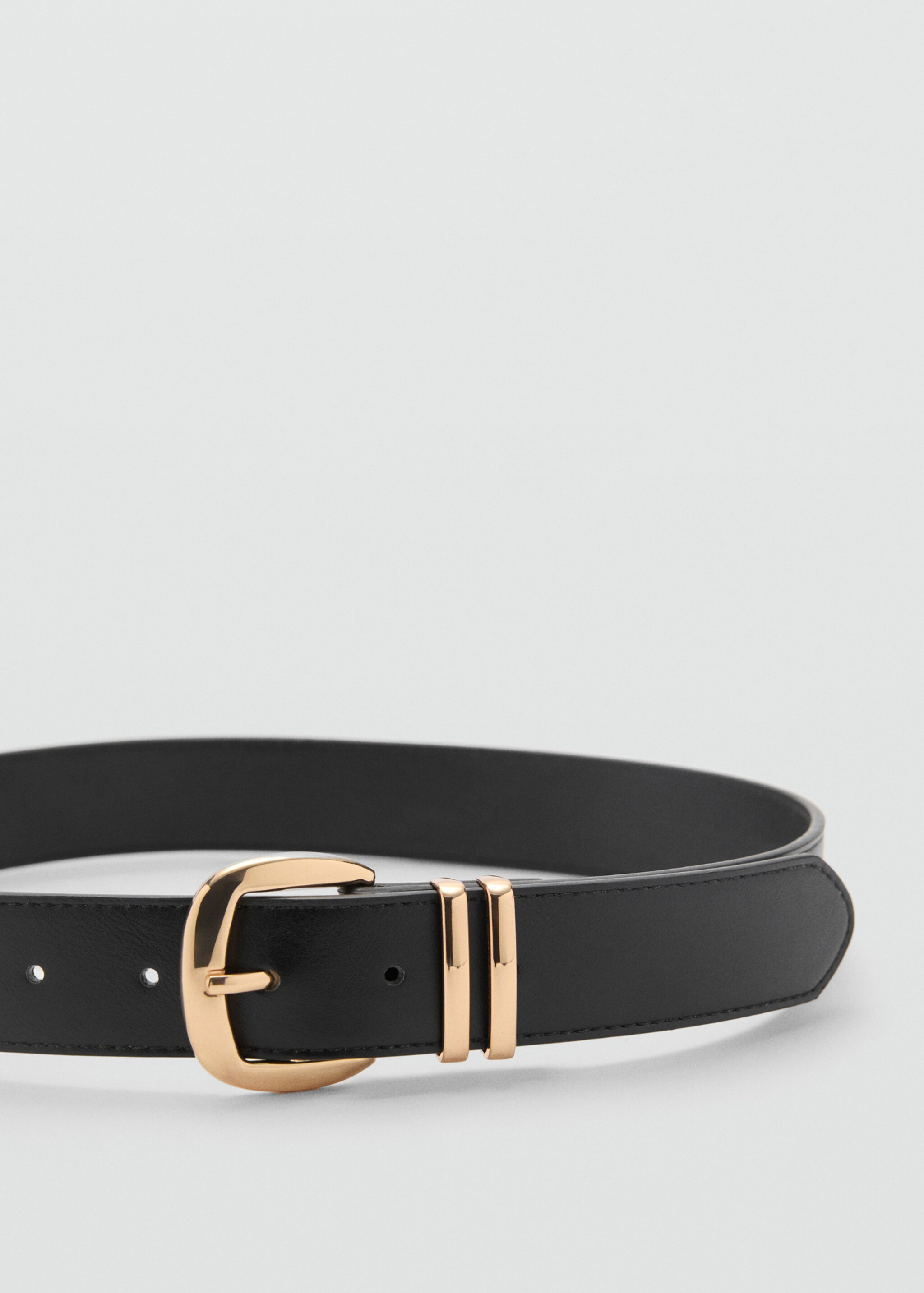 Metal buckle belt - Medium plane