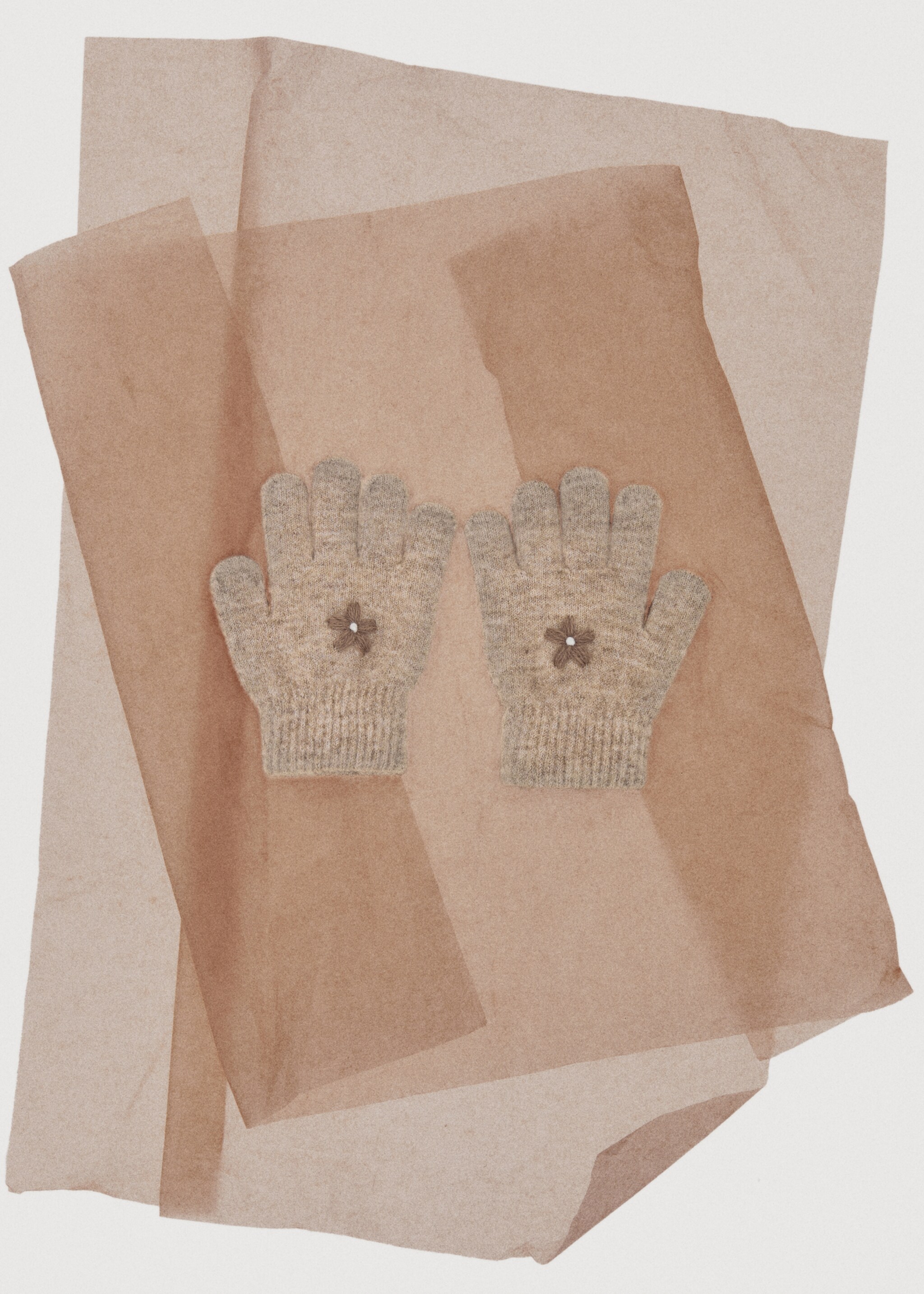 Embroidered gloves - Details of the article 7, Sand. Ref: 17076347-00.