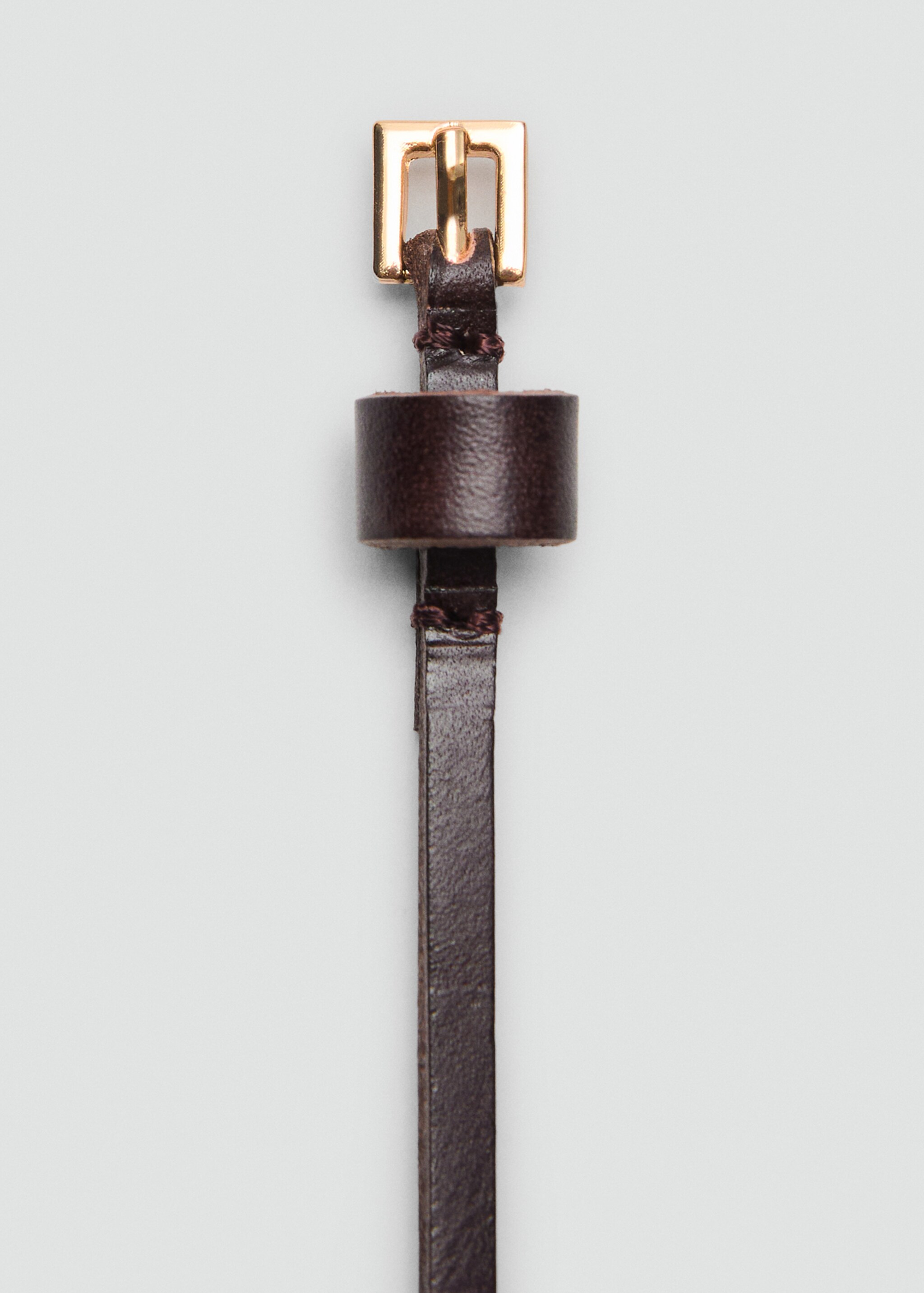 Leather mini-belt - Details of the article 2, Chocolate. Ref: 17076353-00.