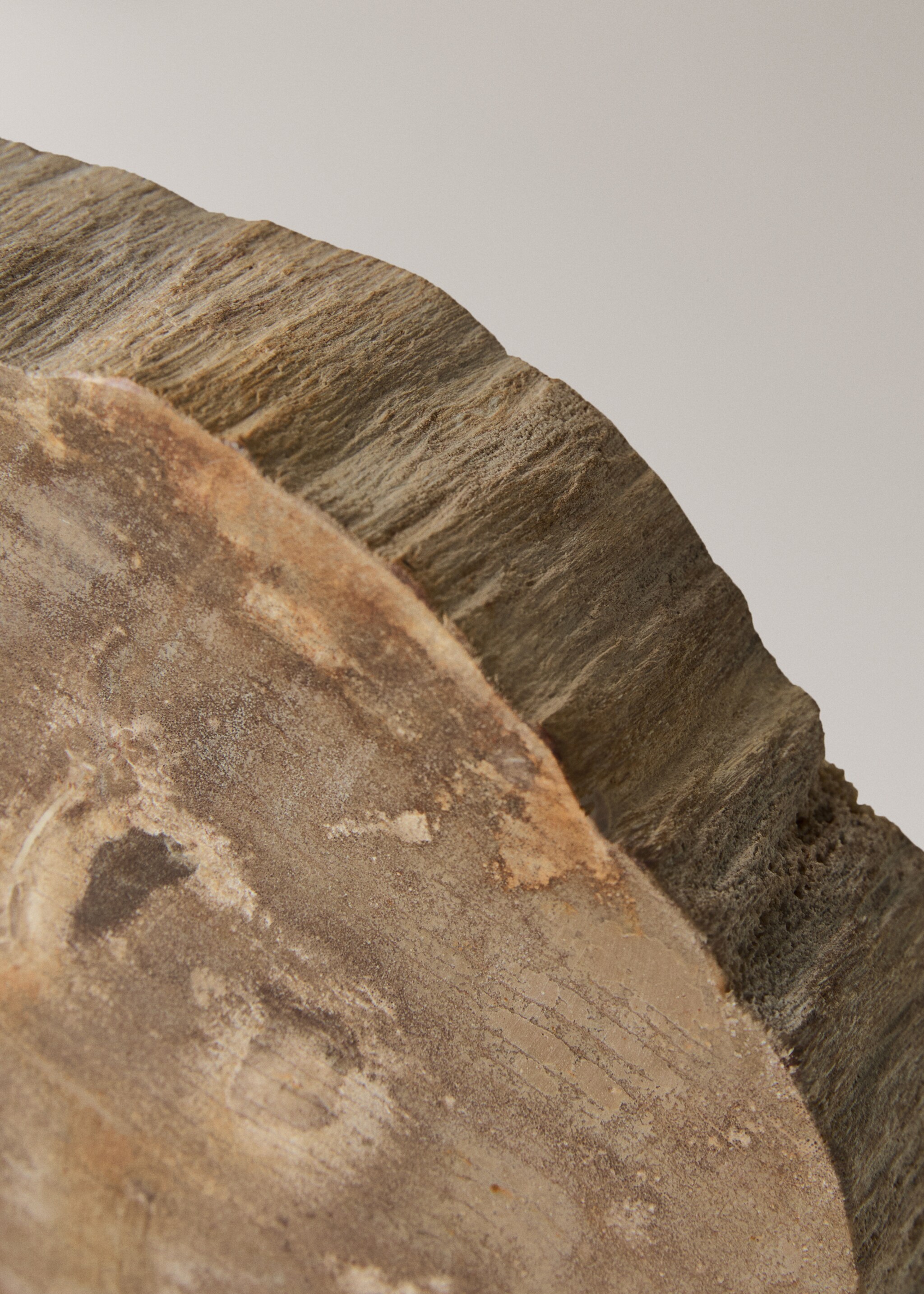 Petrified wood bookends - Details of the article 2, Black. Ref: 17083323-00.