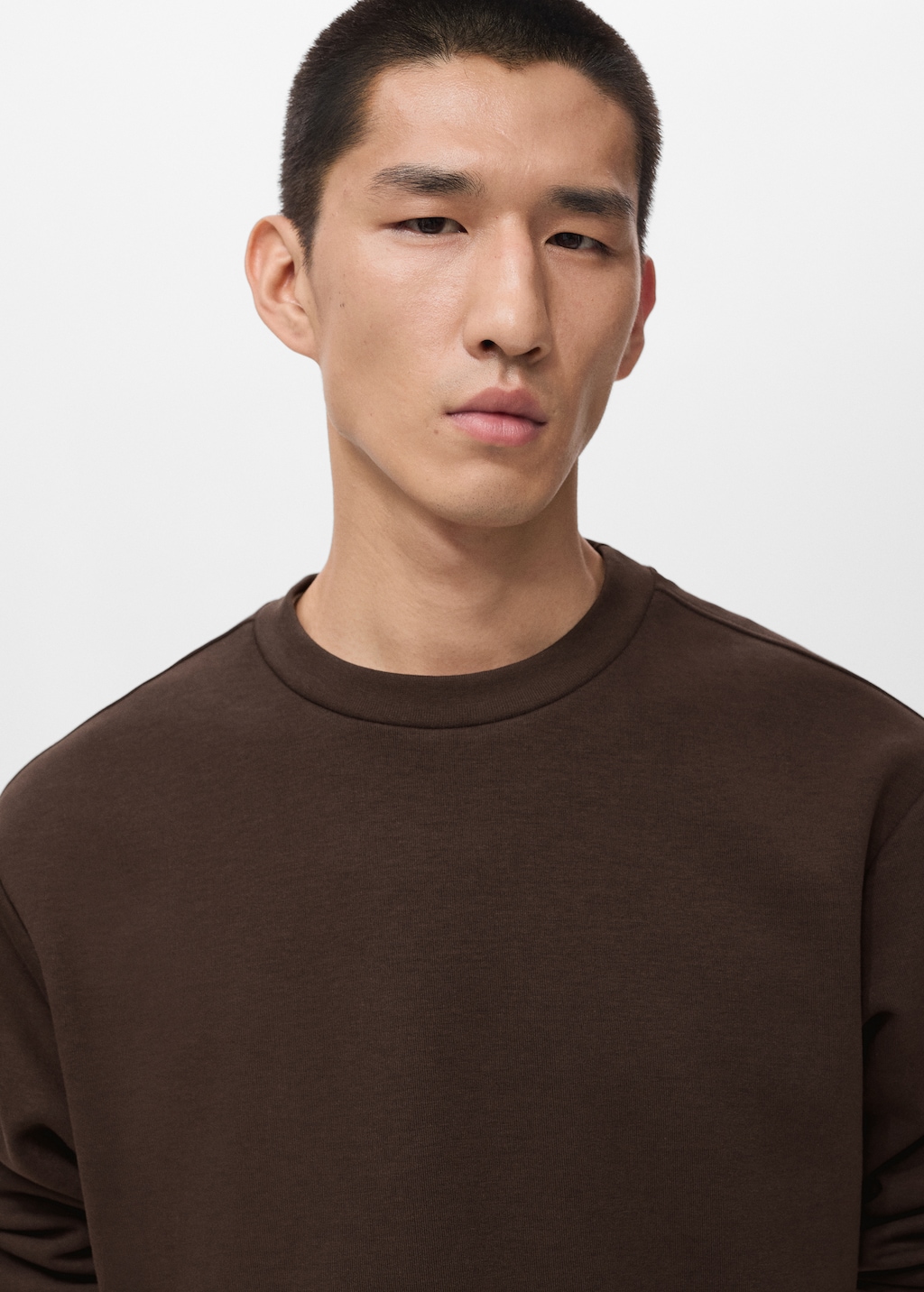 Regular-fit cotton sweatshirt