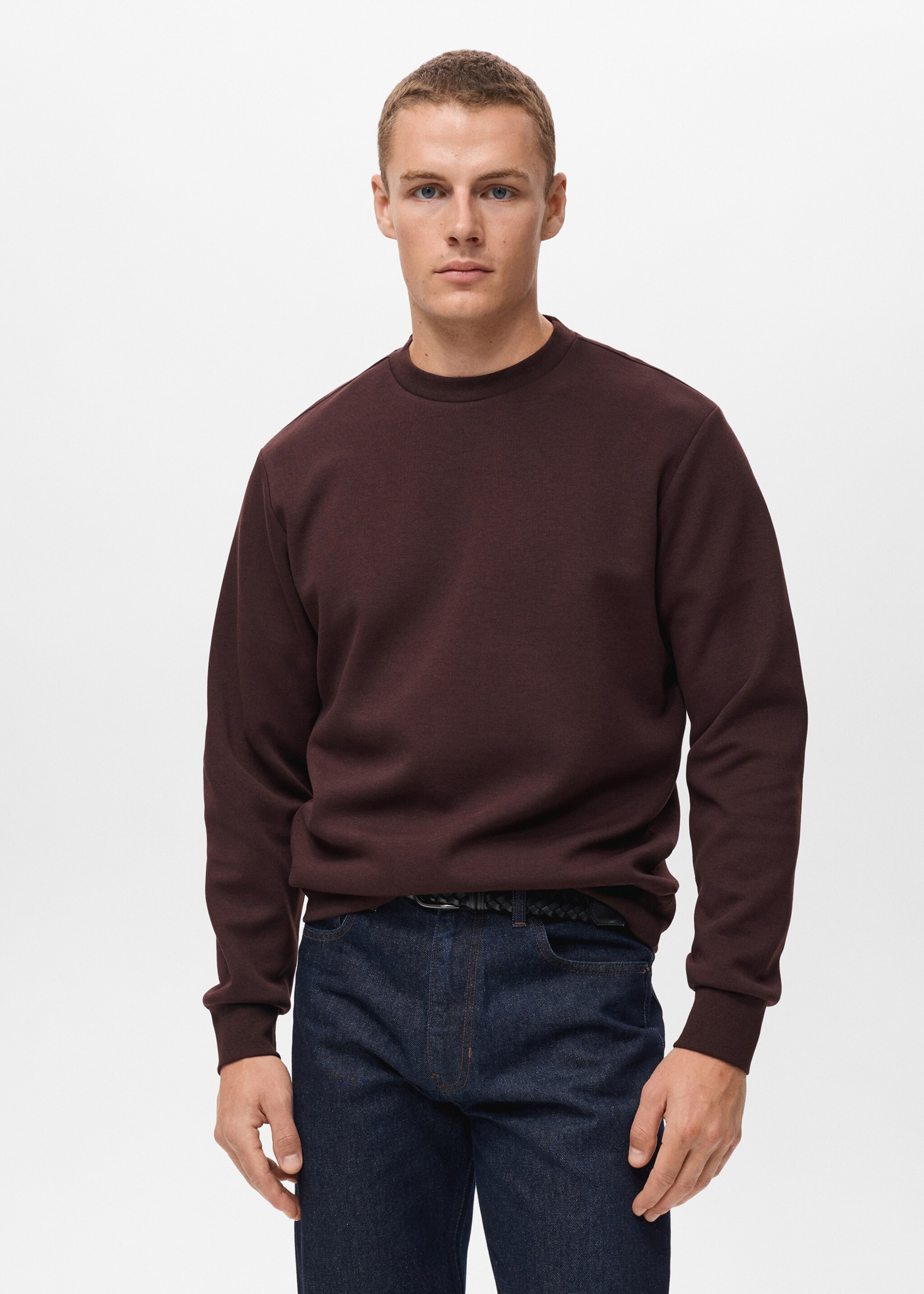 Regular-fit cotton sweatshirt - Medium plane, Wine. Ref: 17084425-00.