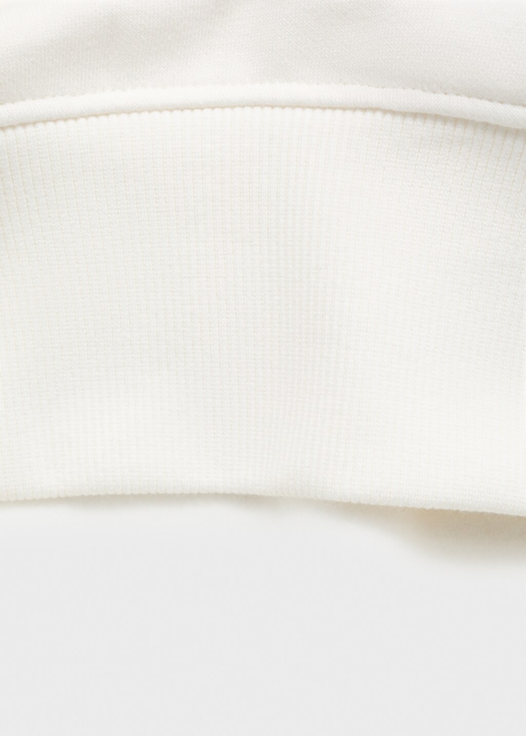 Embroidered sweatshirt with floral pattern