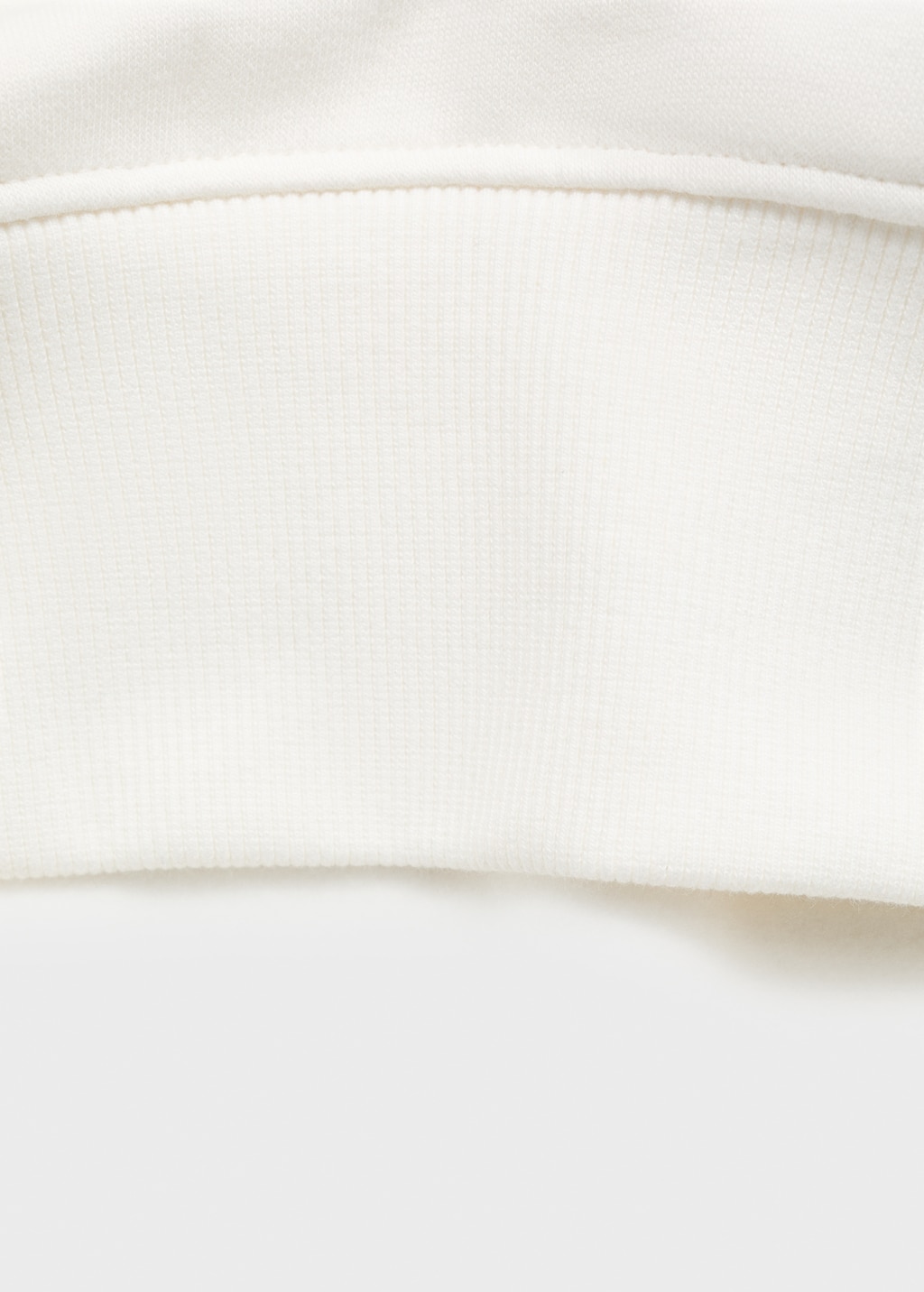 Embroidered sweatshirt with floral pattern