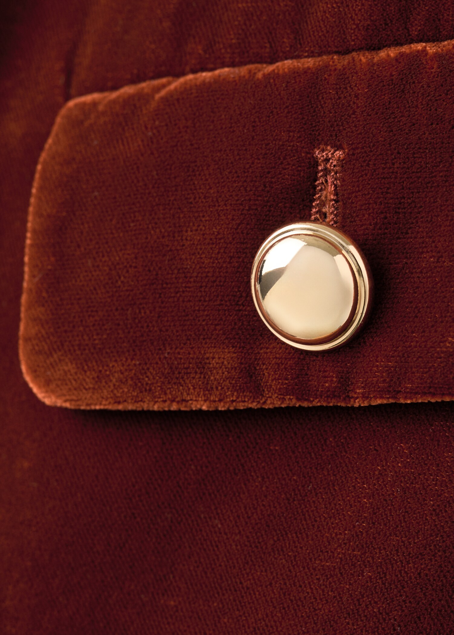 Velvet jacket with buttons - Details of the article 0